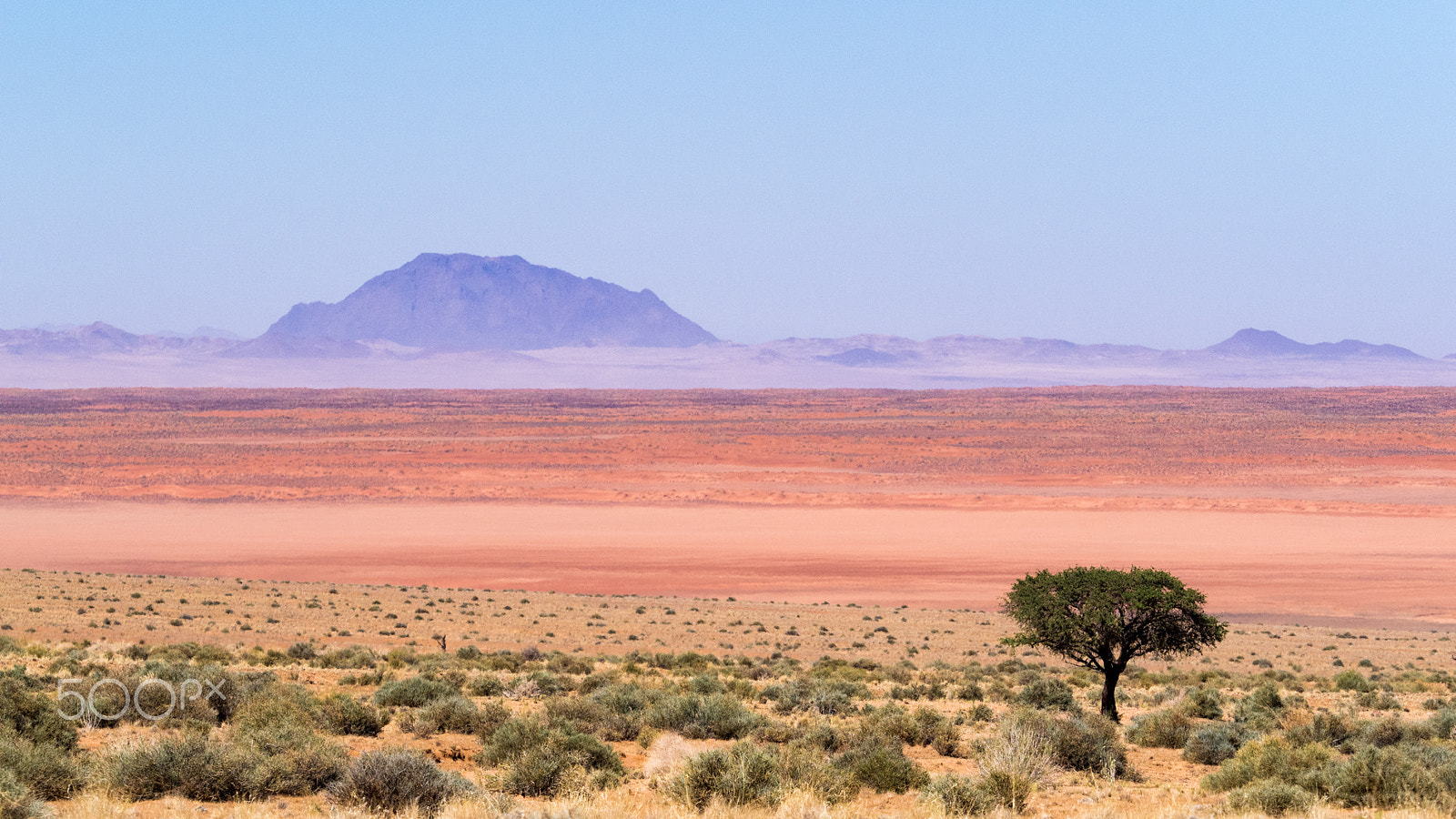 Olympus OM-D E-M1 + Olympus M.Zuiko Digital ED 40-150mm F2.8 Pro sample photo. Driving in namibia photography