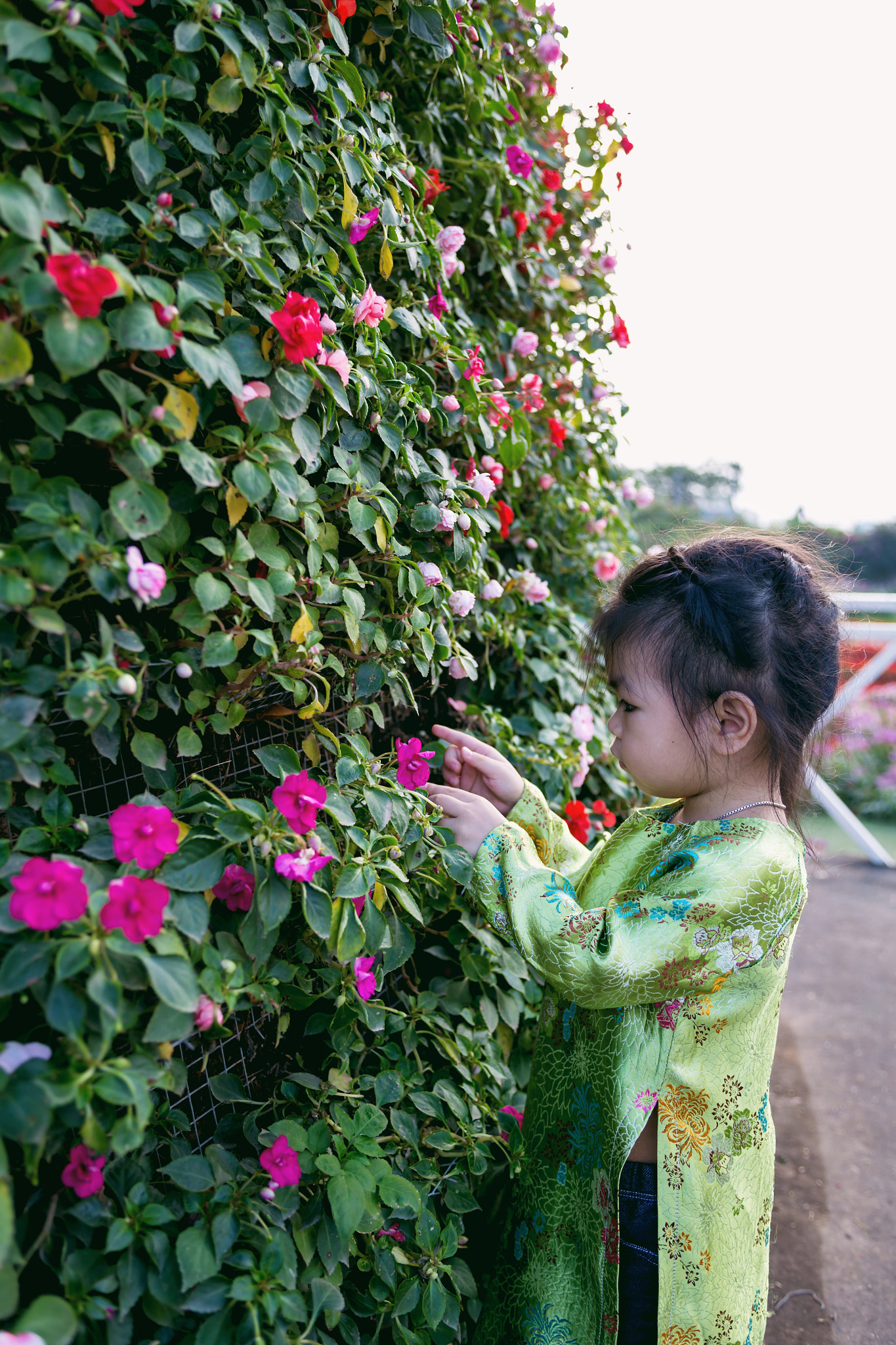 Canon EOS 6D + EF28-70mm f/2.8L USM sample photo. Mg photography