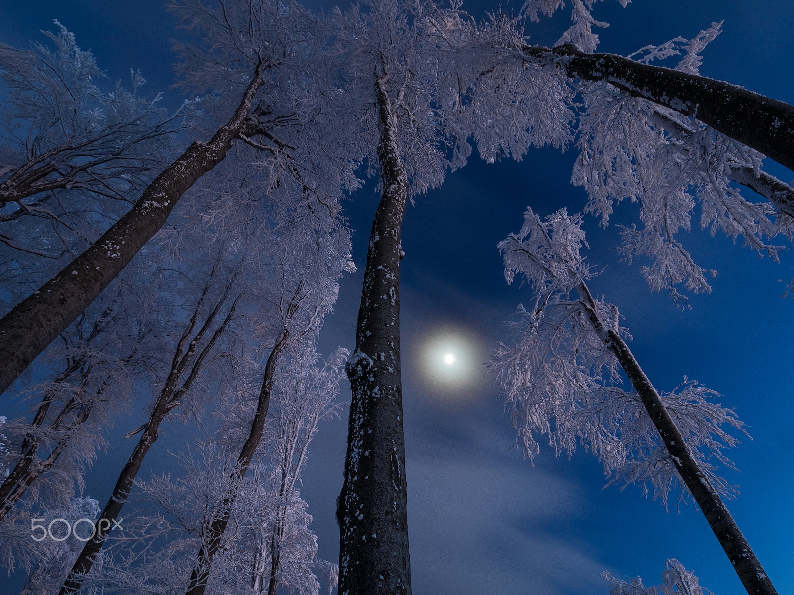 Olympus Zuiko Digital ED 9-18mm F4.0-5.6 sample photo. Cold nights photography