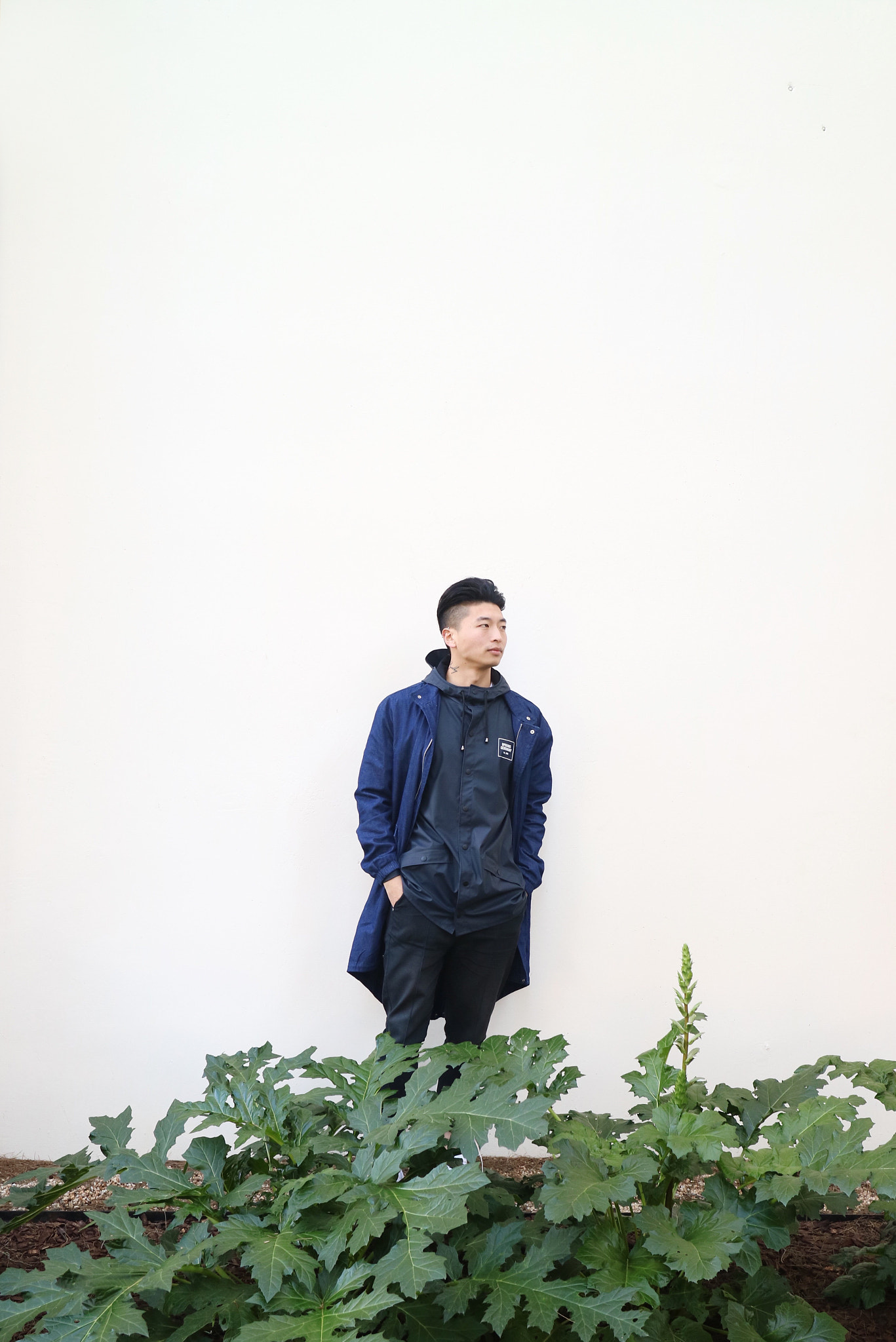 Canon EOS M3 + Canon EF-M 22mm F2 STM sample photo. Fern photography