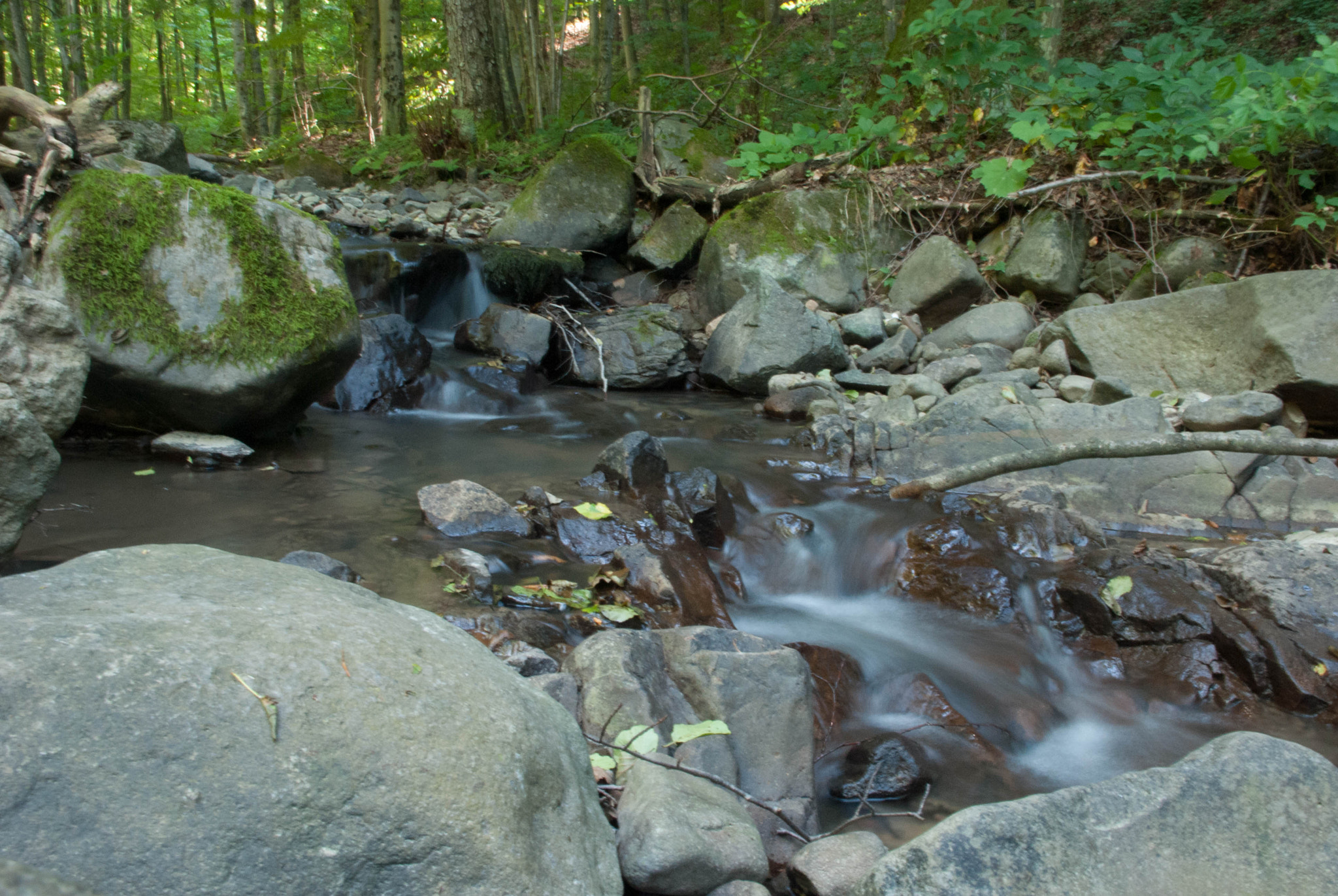 Nikon D60 sample photo. 29005954335.jpg photography