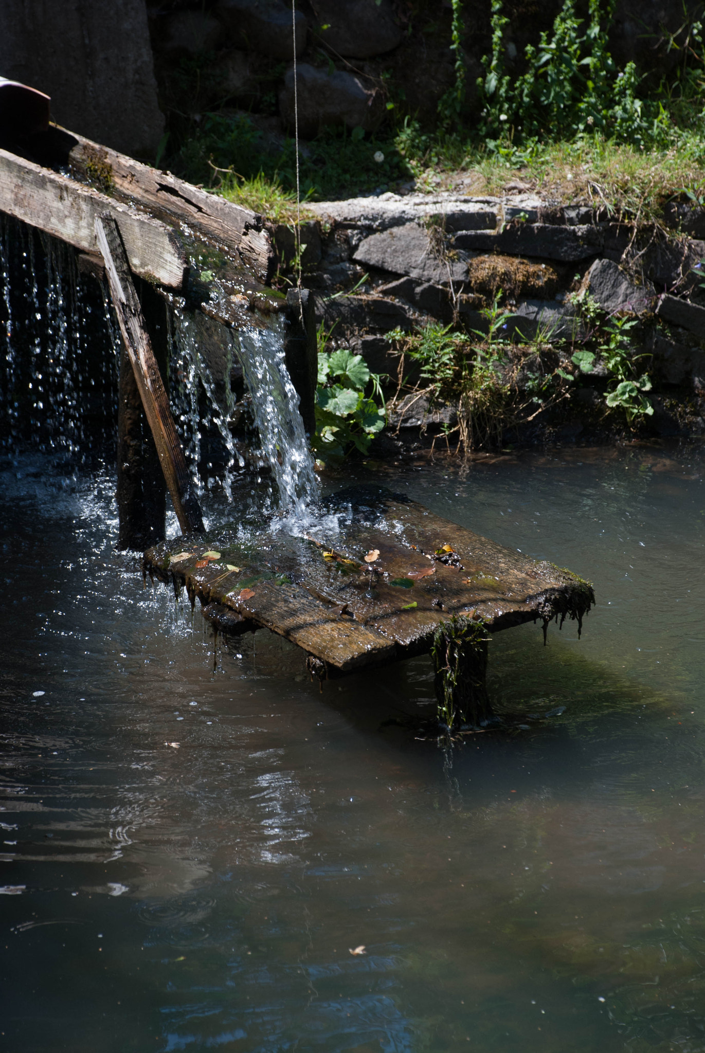 Nikon D60 sample photo. 28900722802.jpg photography