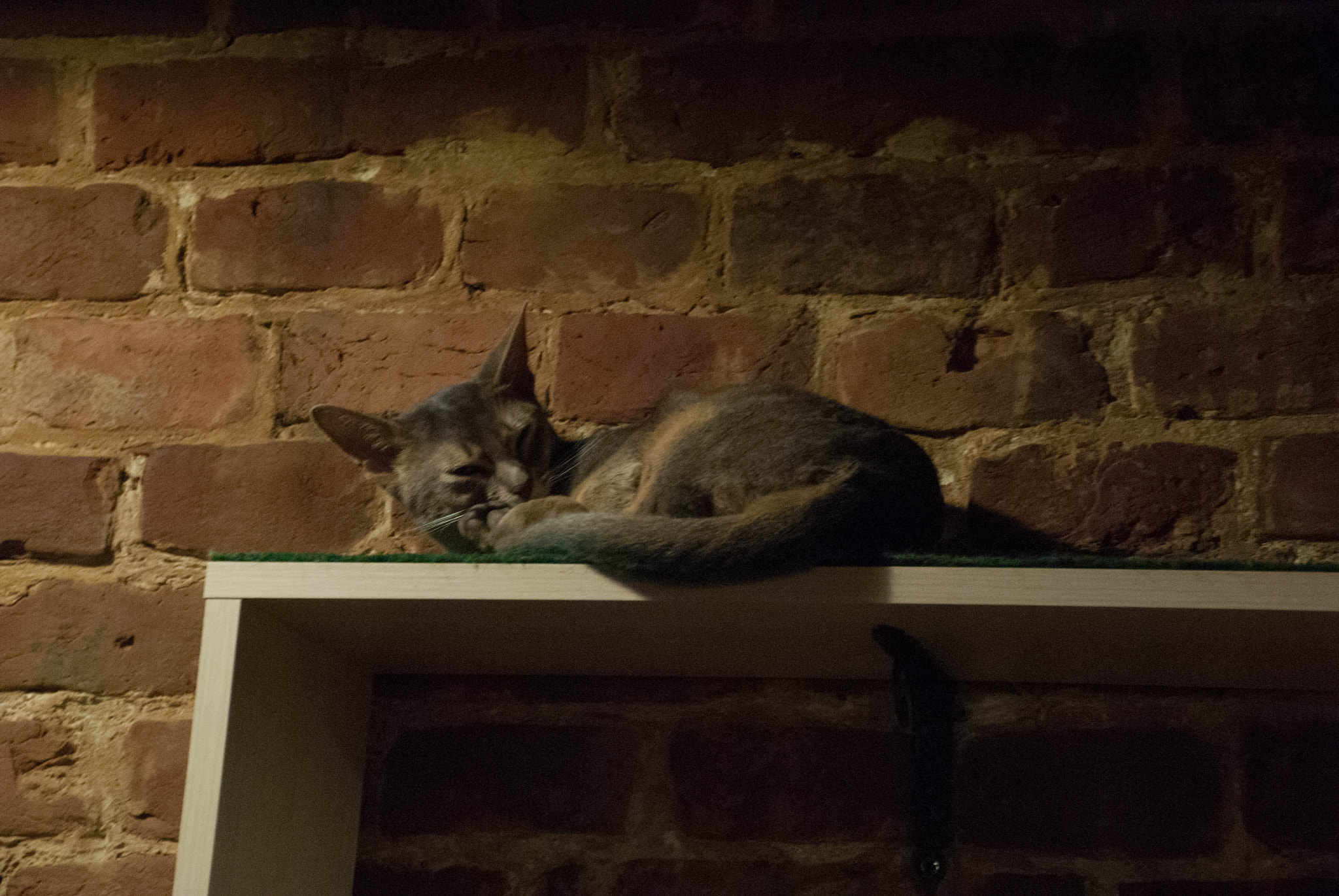 Nikon D60 sample photo. 28647463650.jpg photography