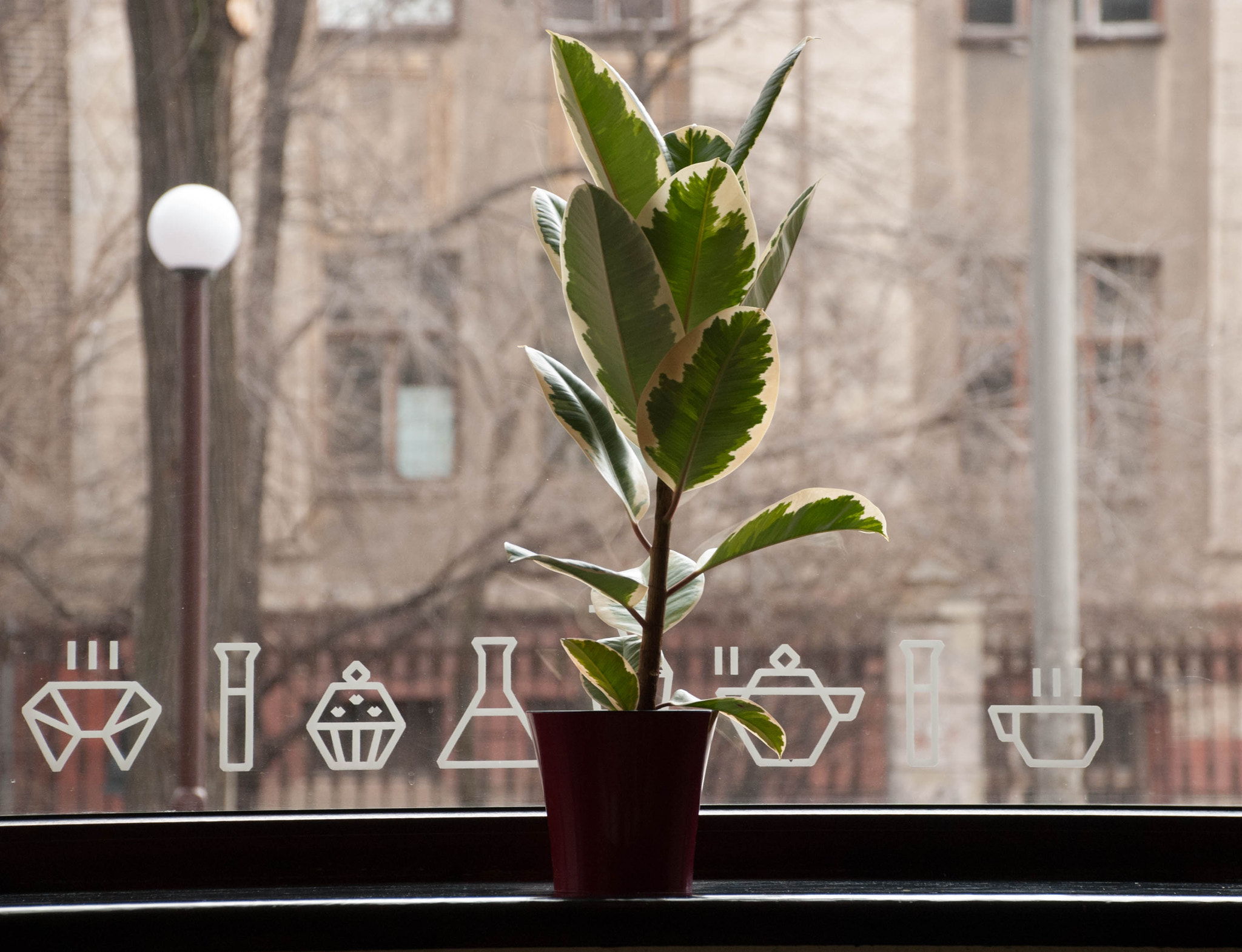 Nikon D60 sample photo. 24893724809.jpg photography
