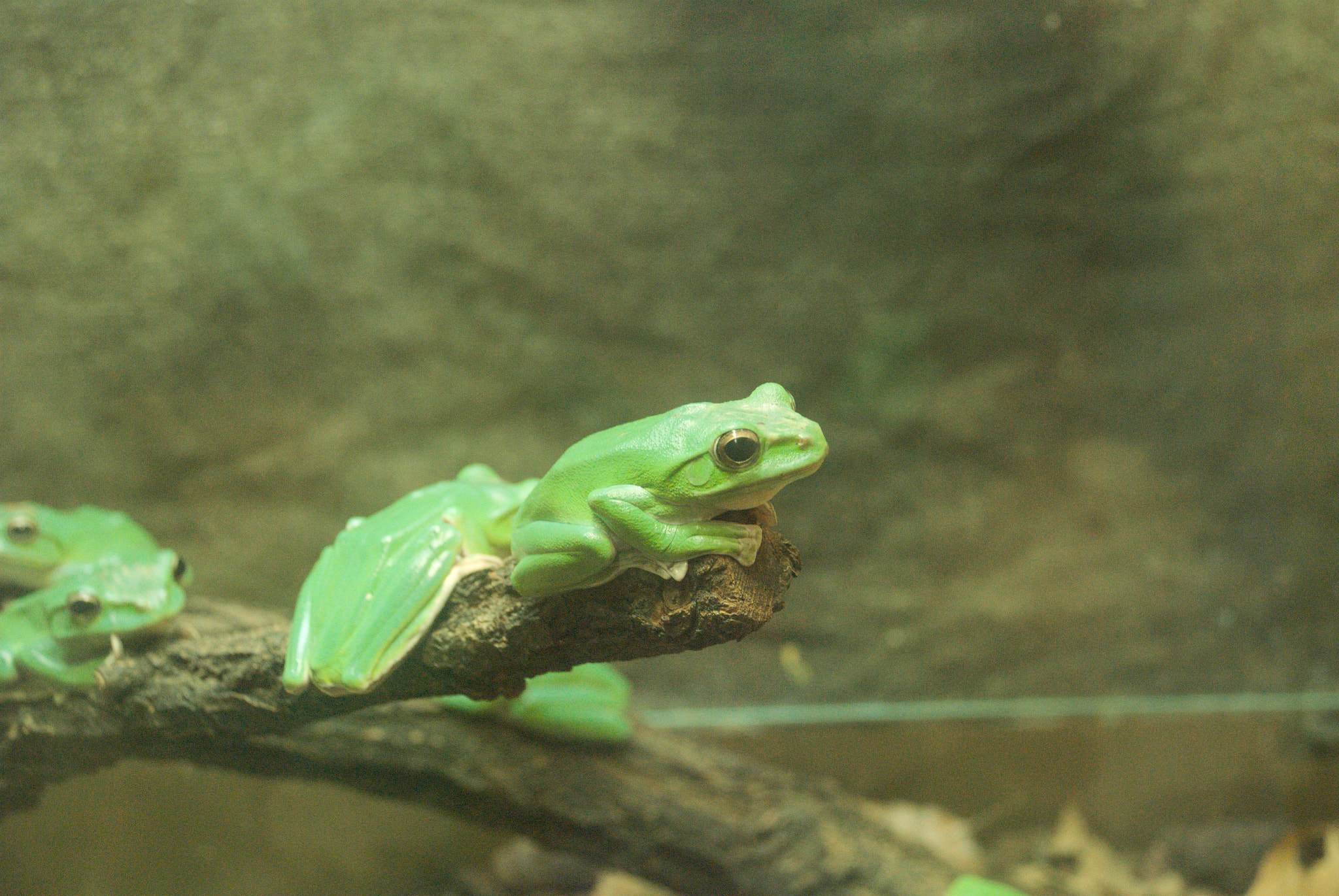 Nikon D60 sample photo. 28307706010.jpg photography