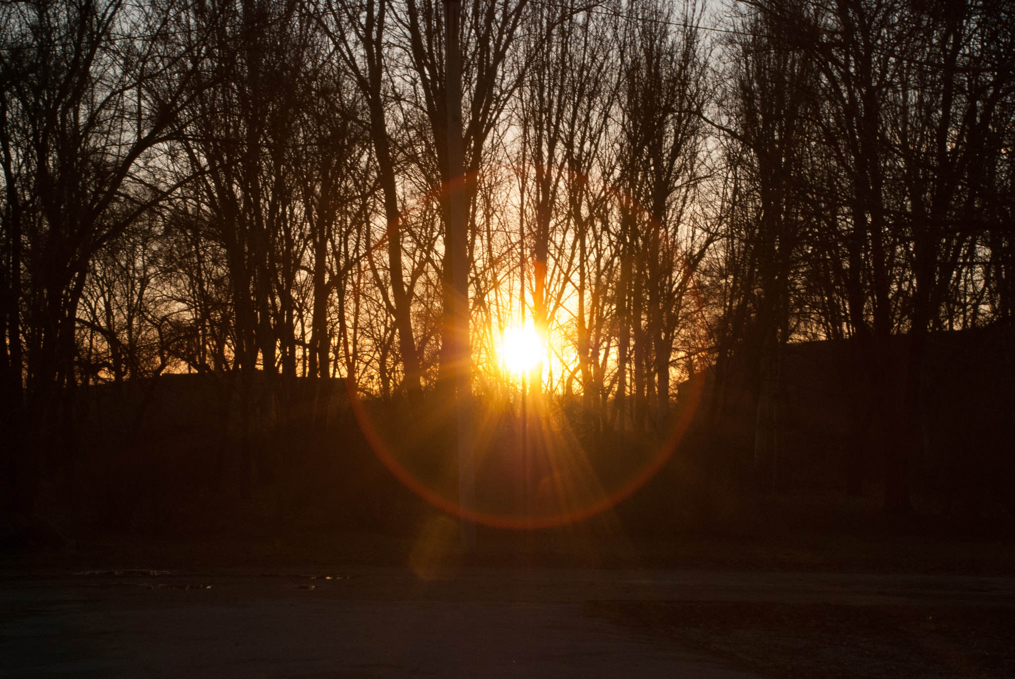 Nikon D60 sample photo. 24427564023.jpg photography