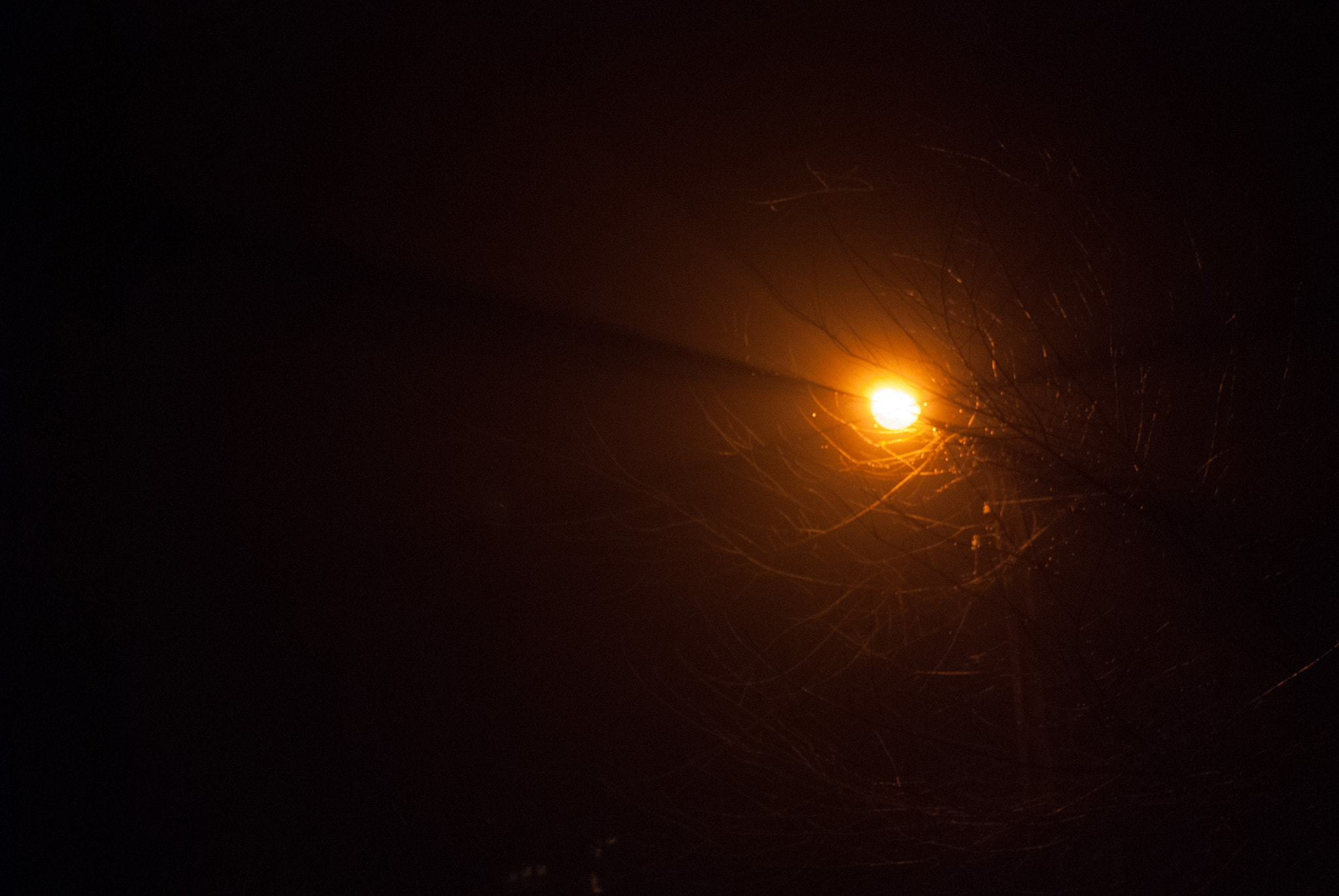 Nikon D60 sample photo. 24174002664.jpg photography