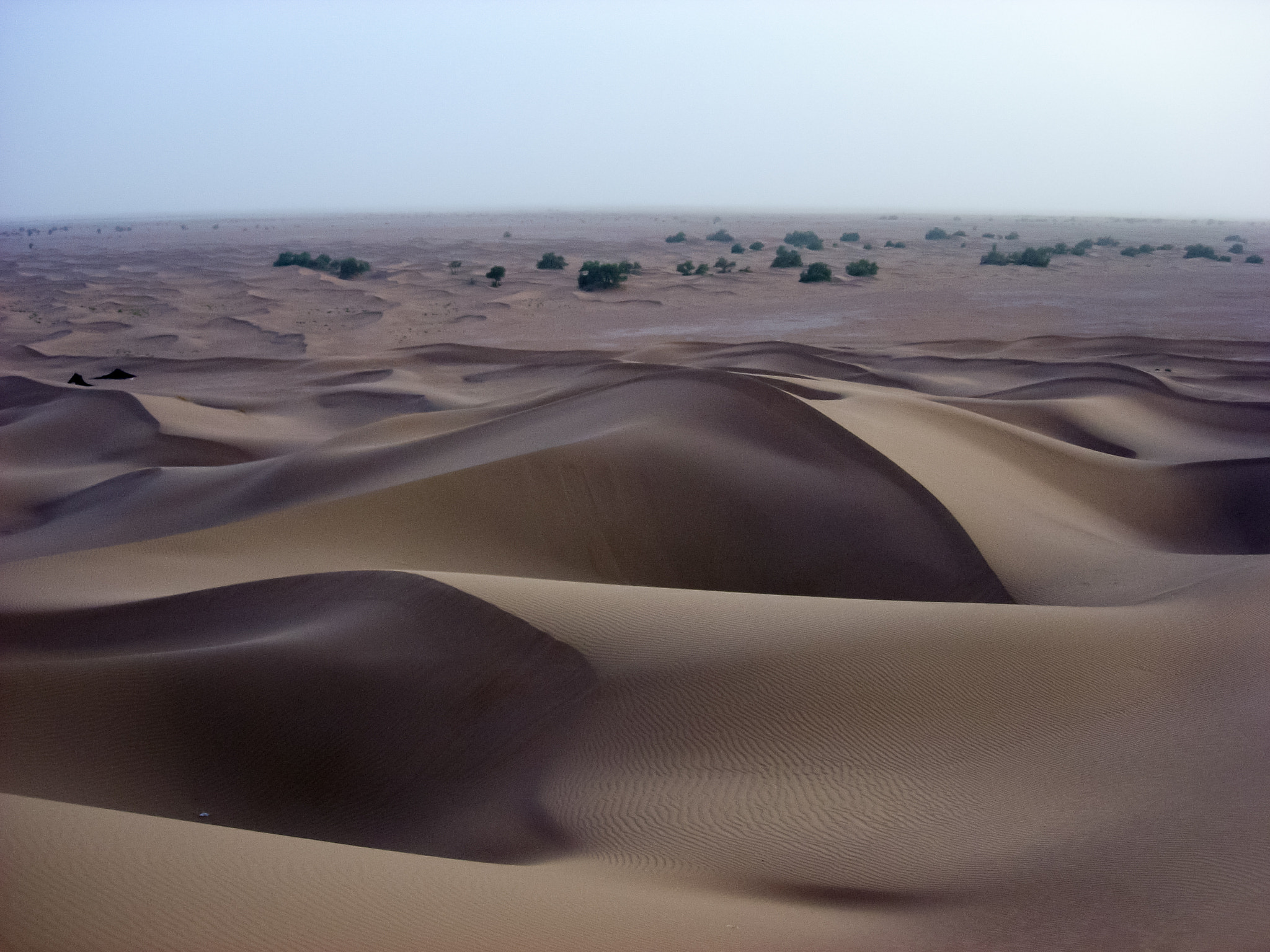 Nikon E5200 sample photo. Tombée de la nuit sur le desert photography