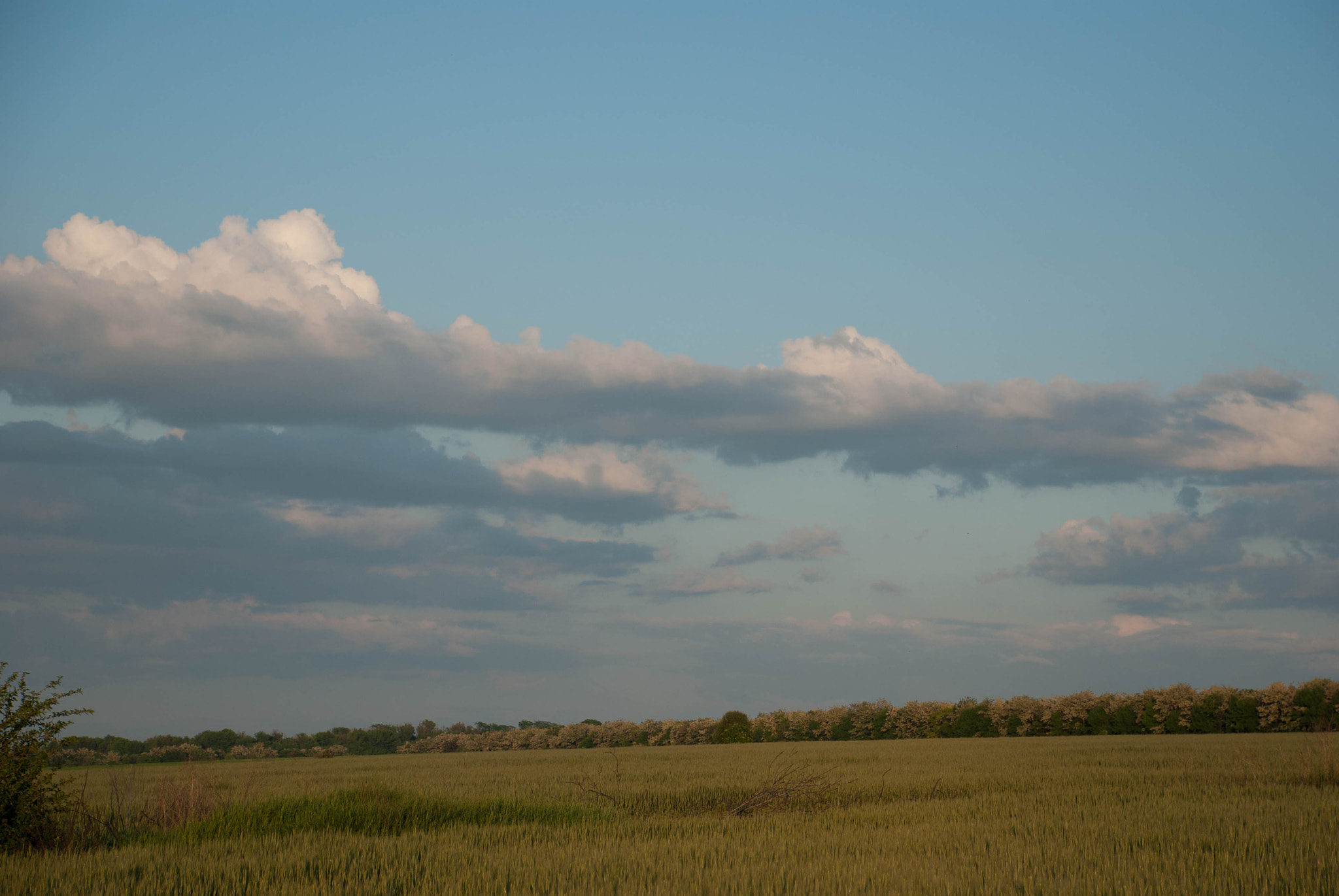 Nikon D60 sample photo. 23955683060.jpg photography