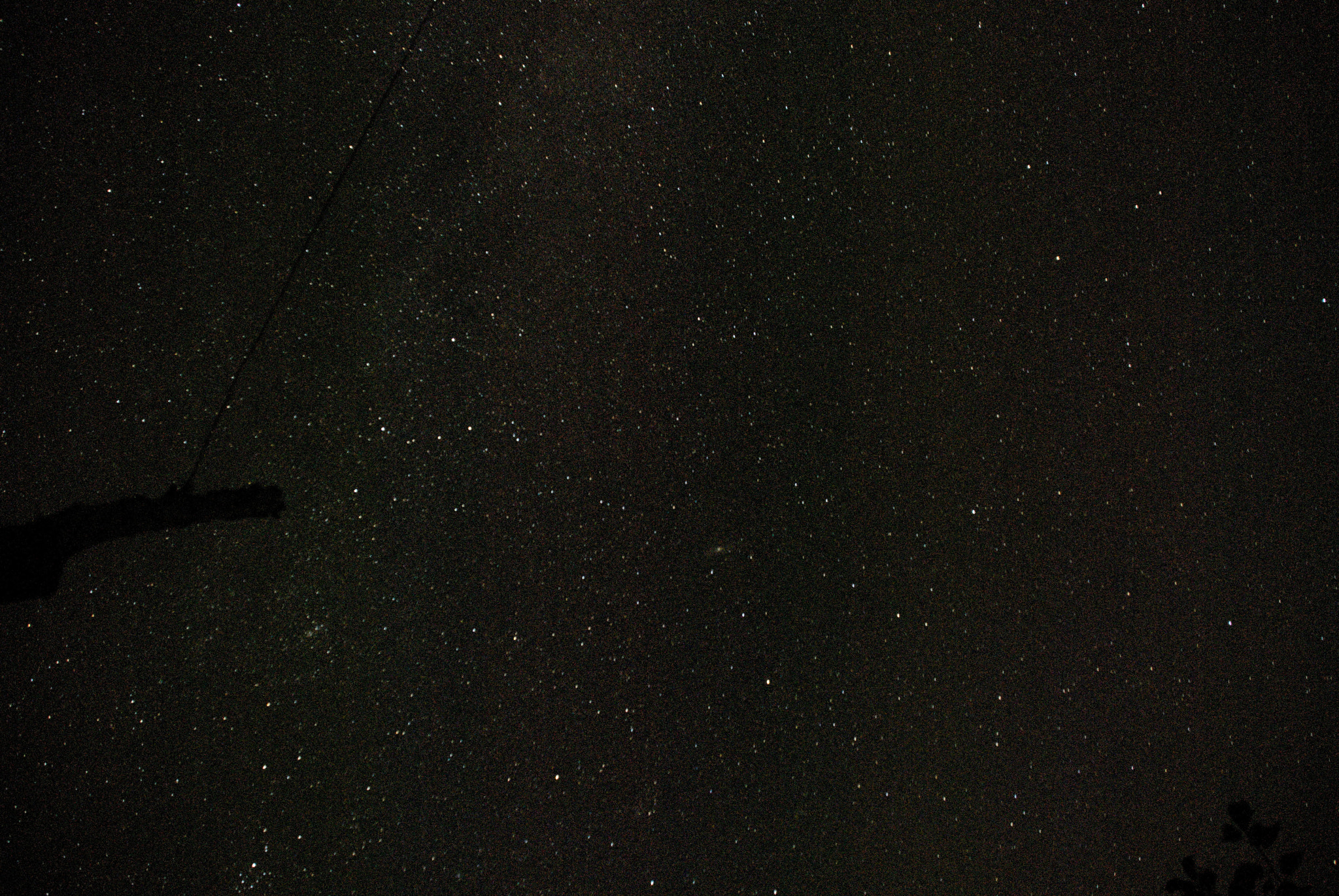 Nikon D60 sample photo. 20260109904.jpg photography