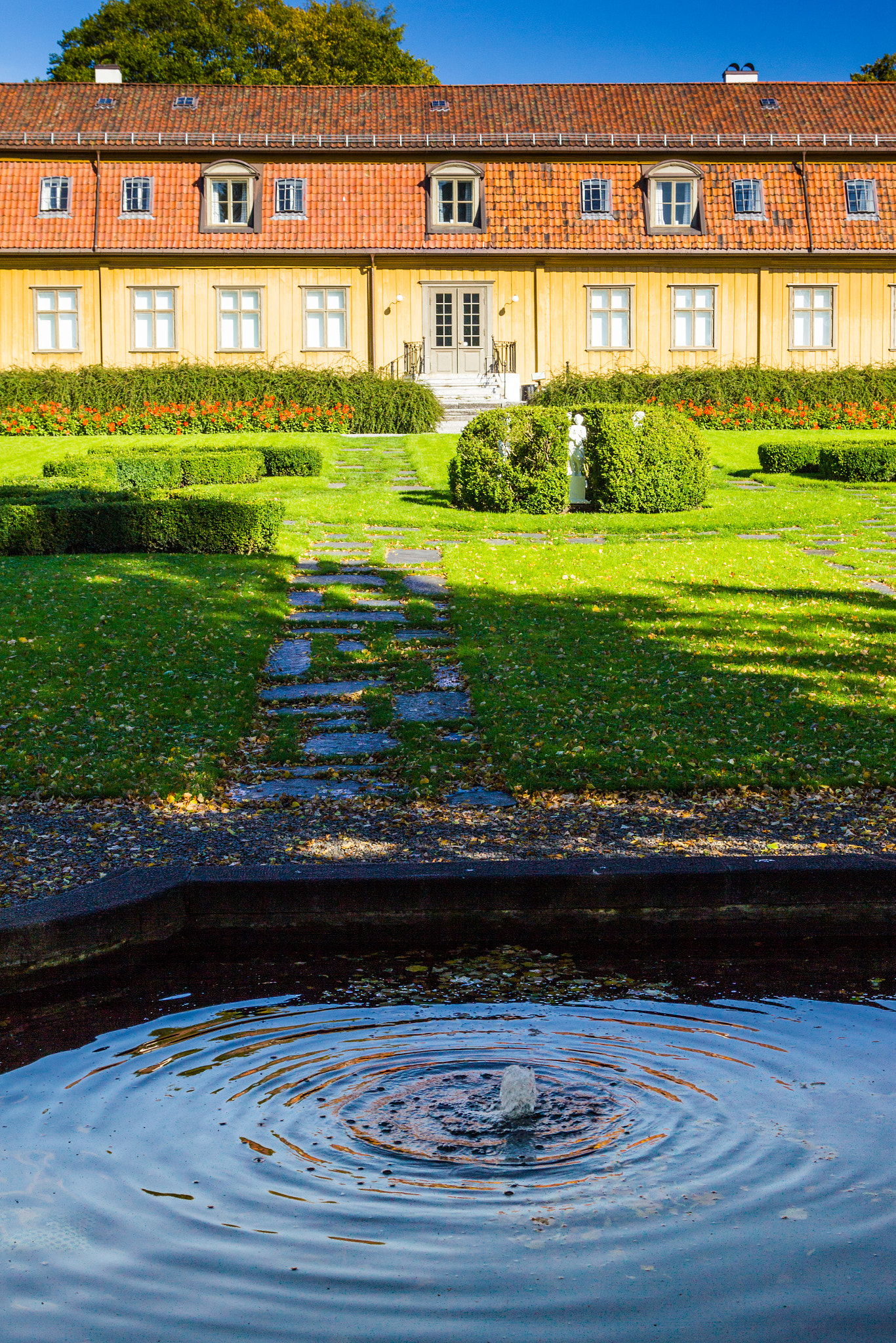 Canon EOS 550D (EOS Rebel T2i / EOS Kiss X4) sample photo. Norway-oslo-oslo botanical gardens photography