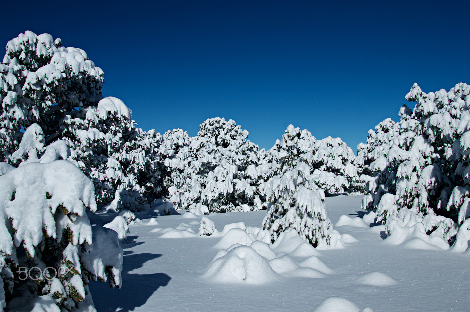 Nikon D3200 sample photo. Big snow iv photography