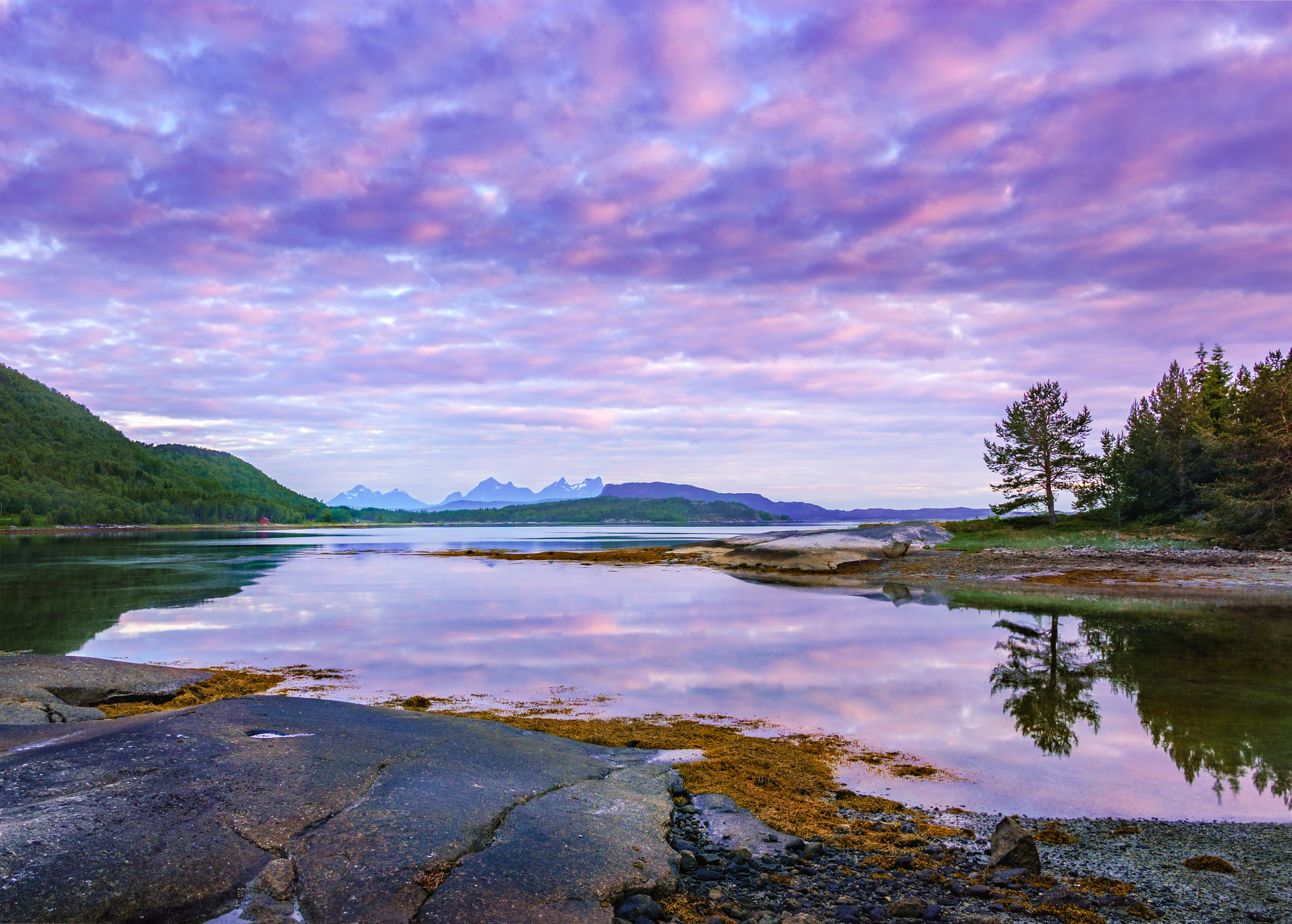 Sony Alpha NEX-6 + Sigma 19mm F2.8 EX DN sample photo. White night in nordkilpollen cove photography