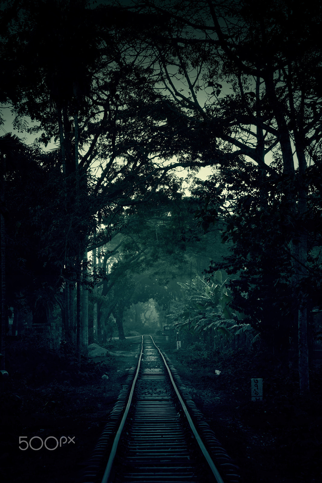 Sony E 55-210mm F4.5-6.3 OSS sample photo. Mysterious rail line photography