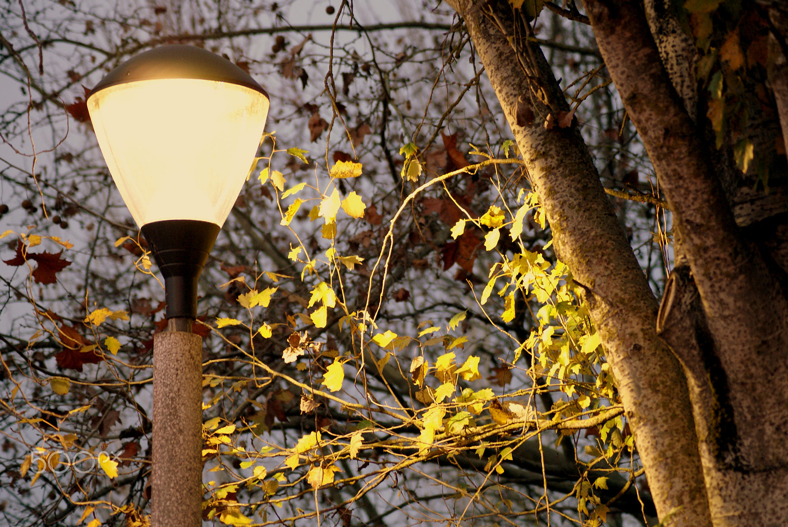 Tamron Lens (255) sample photo. Light photography