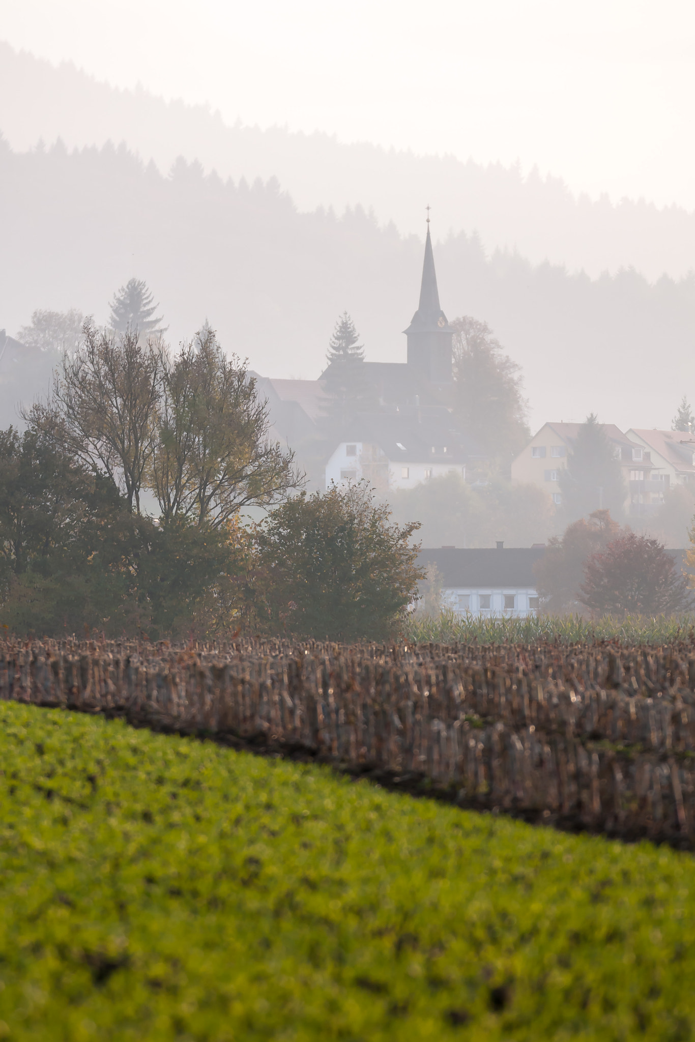 Nikon D300S sample photo. Village behind photography