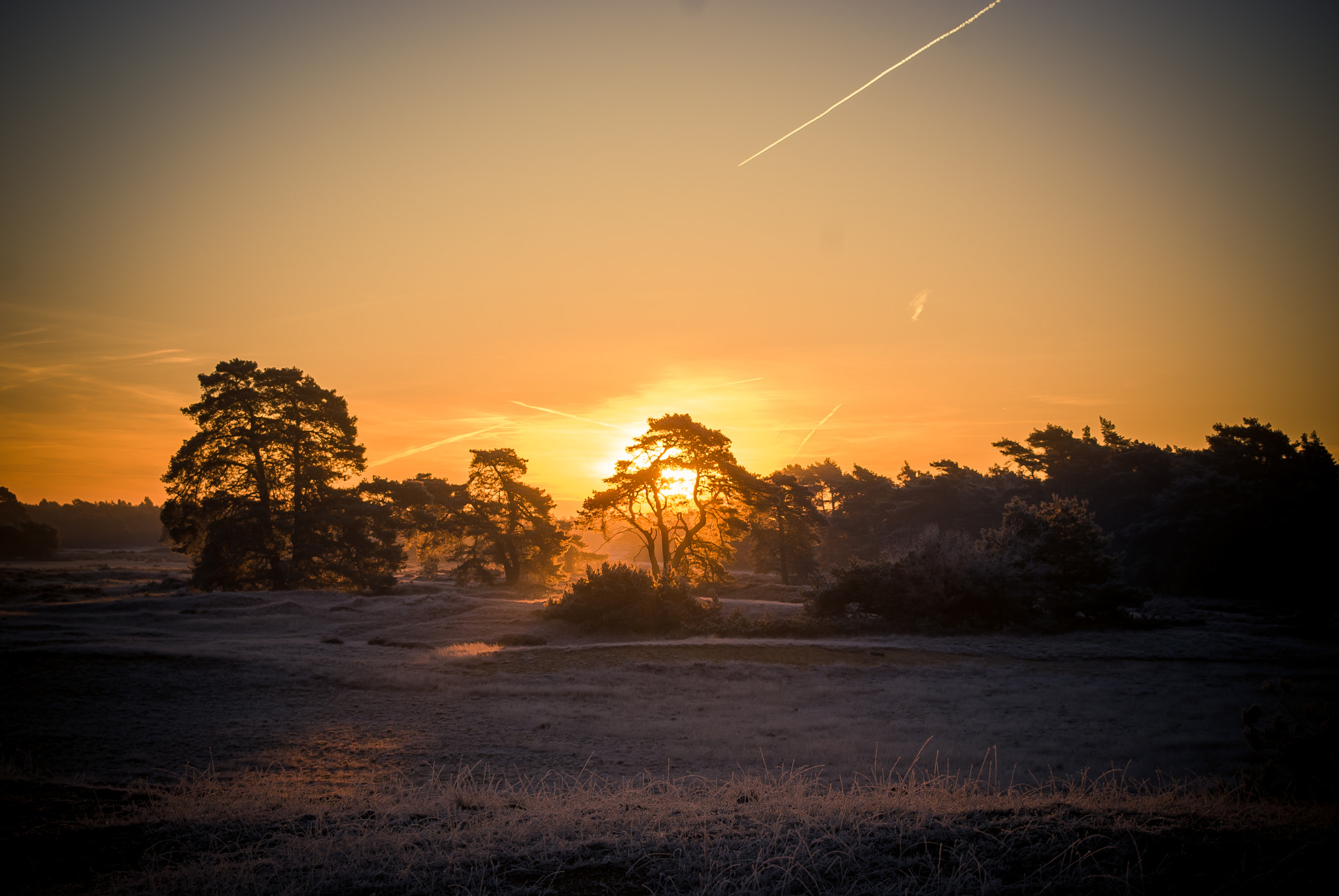 Minolta AF 24-85mm F3.5-4.5 [New] sample photo. Sunset at de hoge veluwe photography