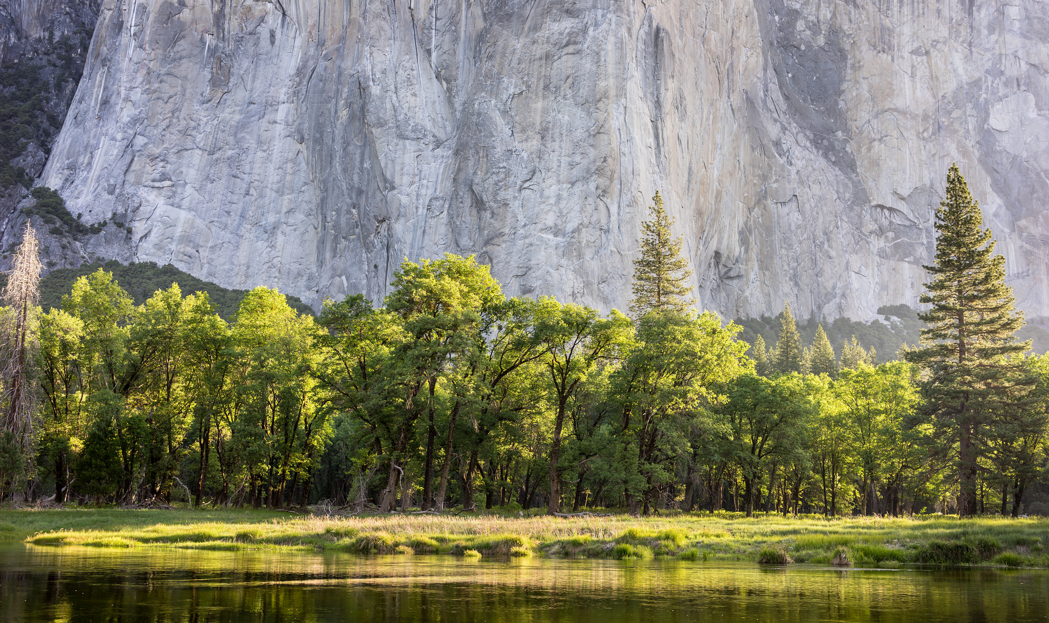 Sony a7R + Sony Sonnar T* FE 35mm F2.8 ZA sample photo. El capitan, black oaks and merced river photography