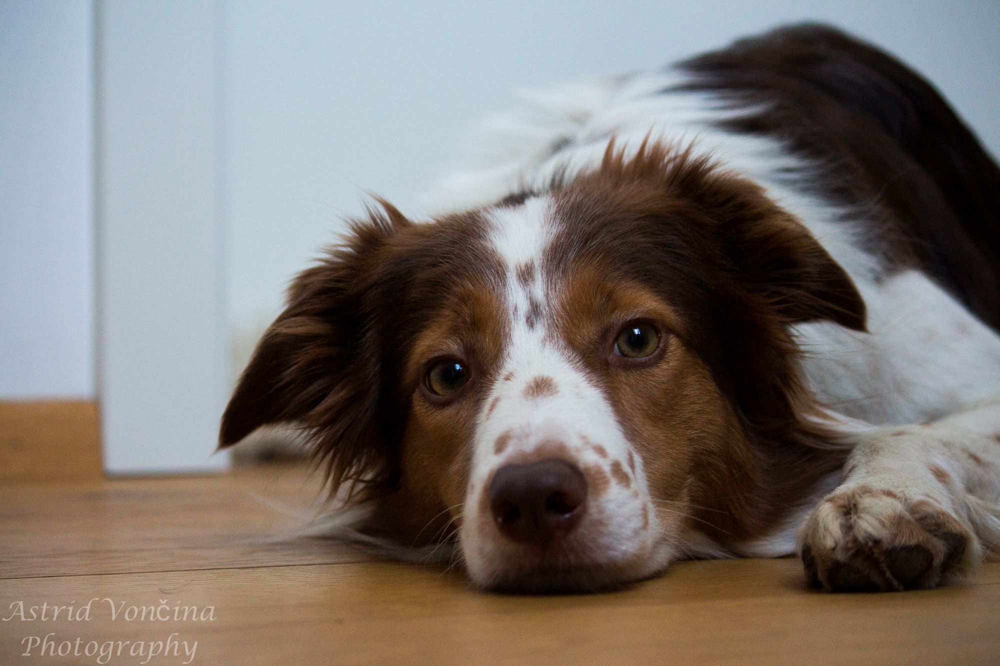 Canon EF-S 55-250mm F4-5.6 IS sample photo. Freckled girl photography