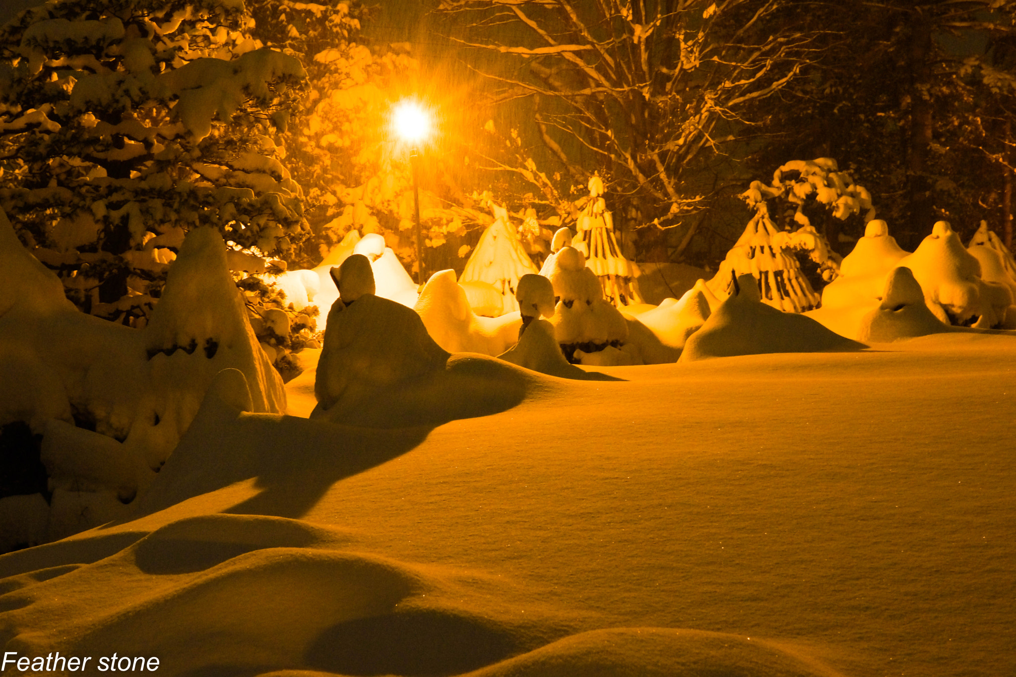 Sony Alpha NEX-7 sample photo. Garden in the snow photography