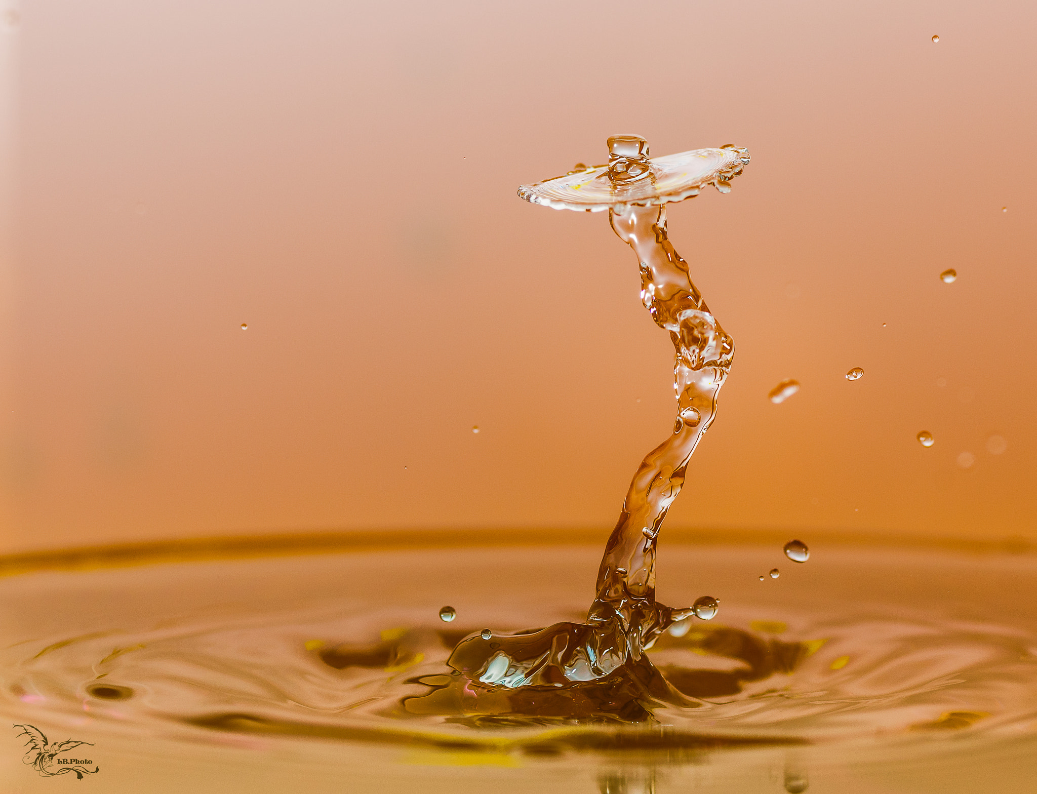 Tamron SP AF 90mm F2.8 Di Macro sample photo. Splash art color photography