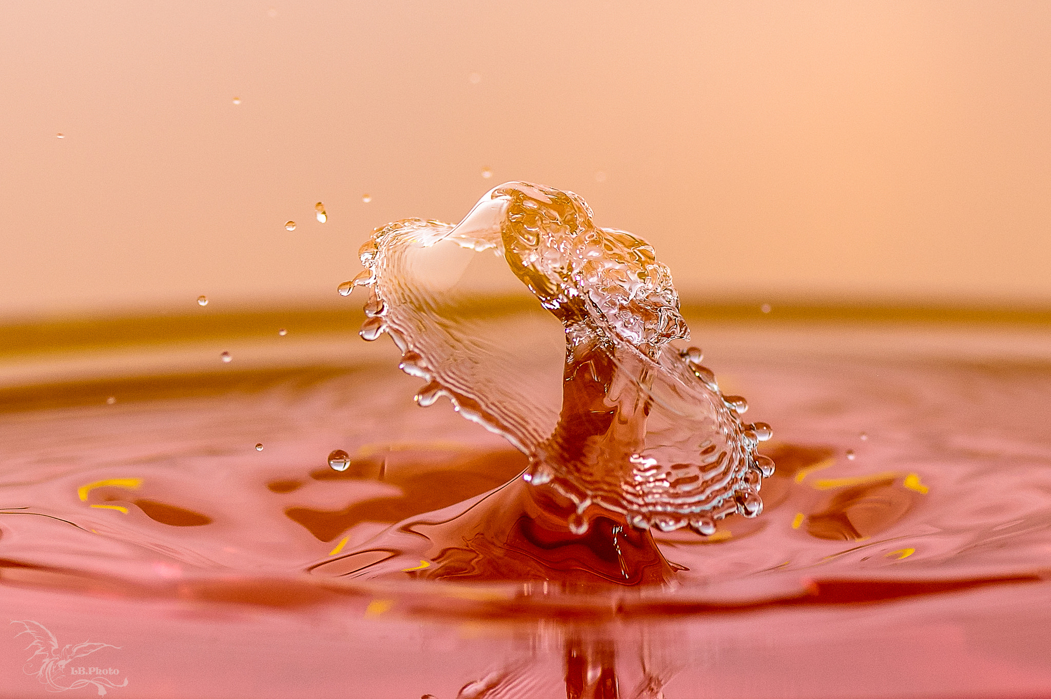 Tamron SP AF 90mm F2.8 Di Macro sample photo. Splash art color 2 photography