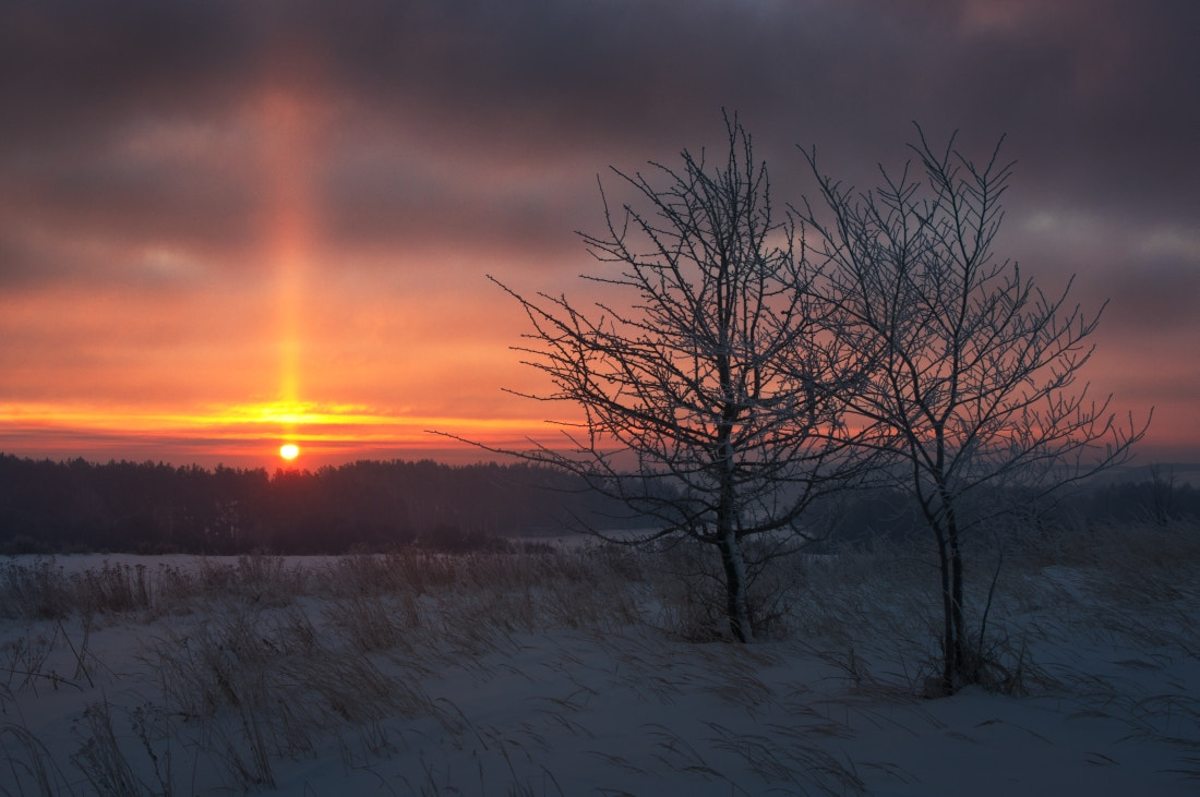 smc PENTAX-DA L 18-55mm F3.5-5.6 sample photo. Frosty morning photography