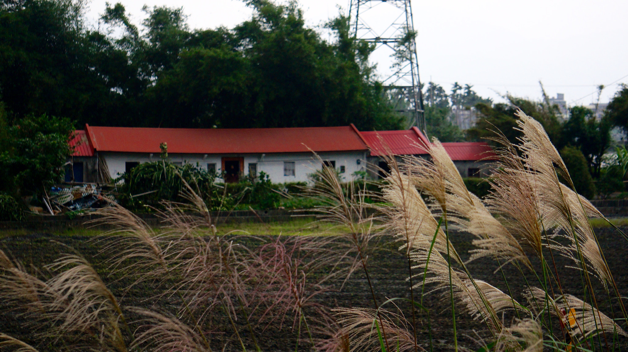Sony E 55-210mm F4.5-6.3 OSS sample photo. Farm house in yilan county, taiwan photography