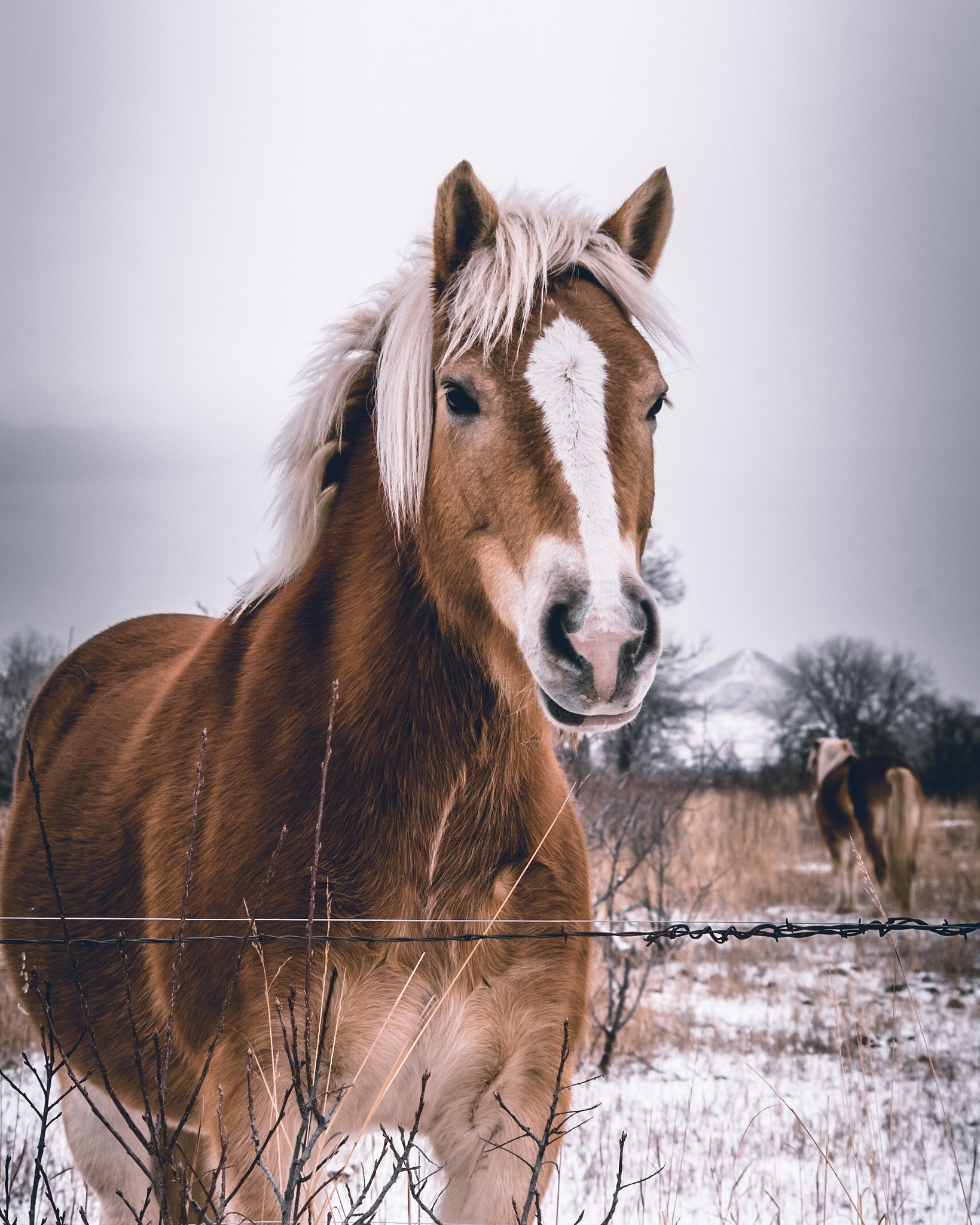 Pentax K-70 sample photo. Winter wonderland photography