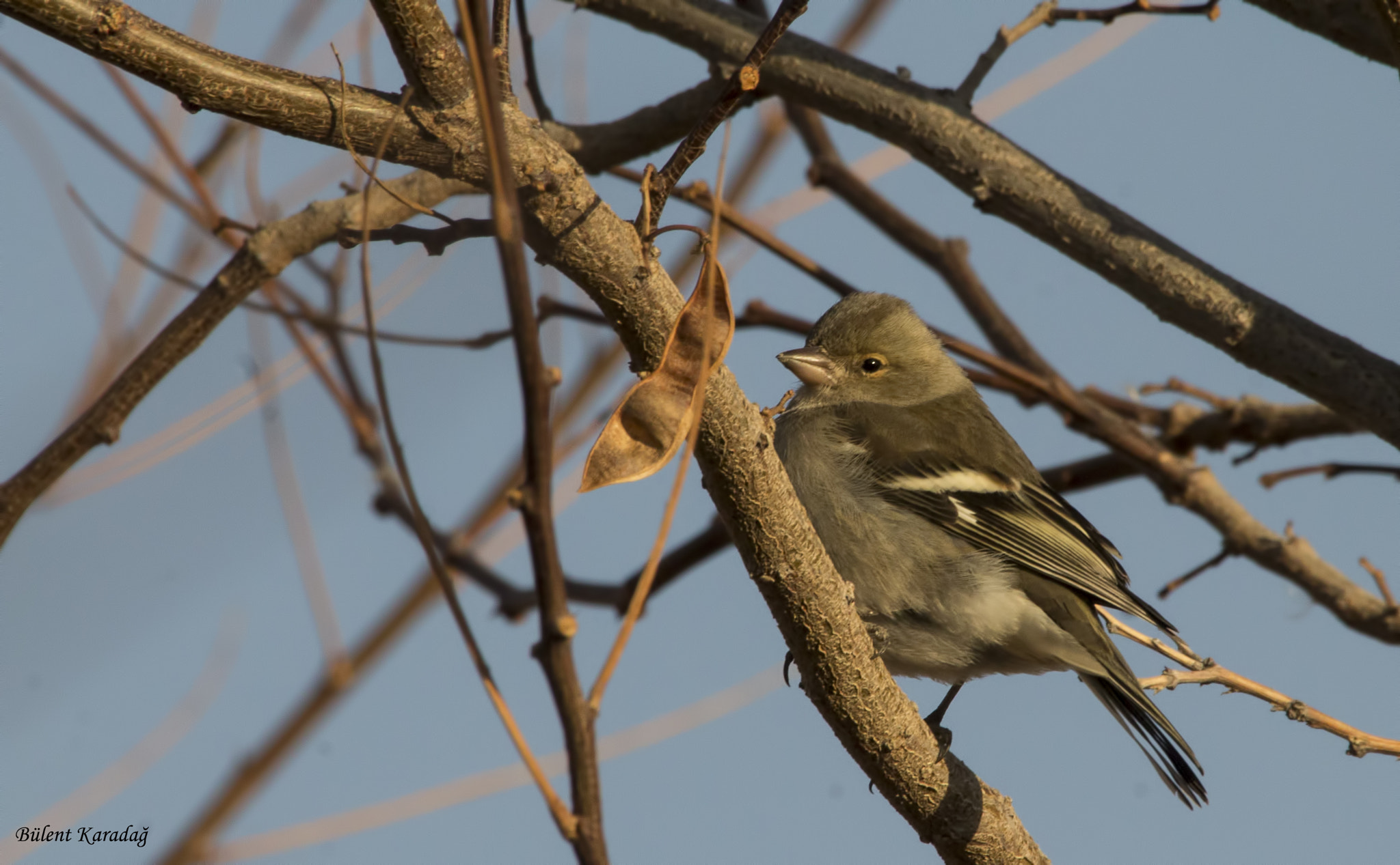 Canon EOS 1100D (EOS Rebel T3 / EOS Kiss X50) sample photo. 1.jpg photography