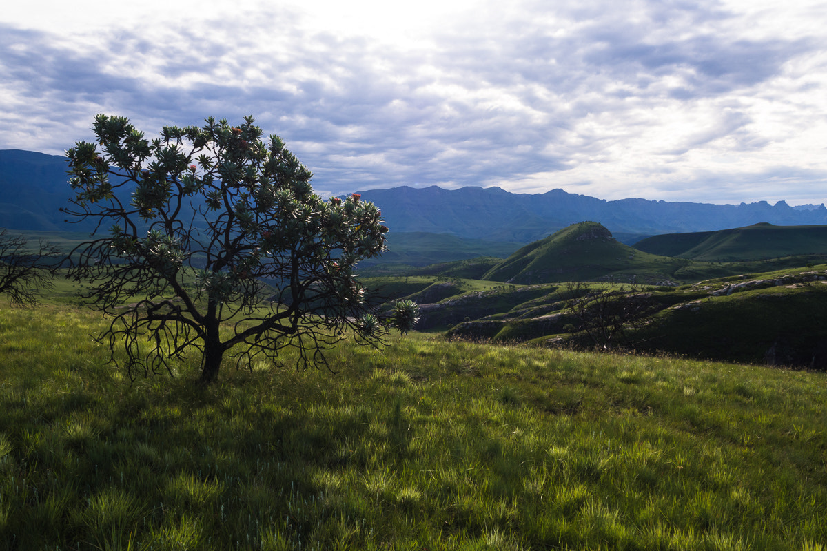 Olympus PEN E-PL5 sample photo. 1. afternoon clouds over the little 'berg, kwazulu-natal, south africa photography