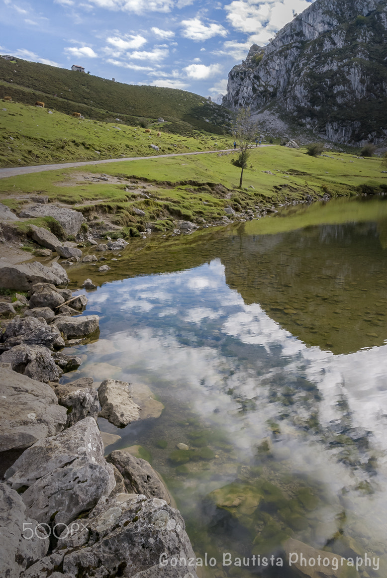 Nikon D40X sample photo. Enol lake. photography