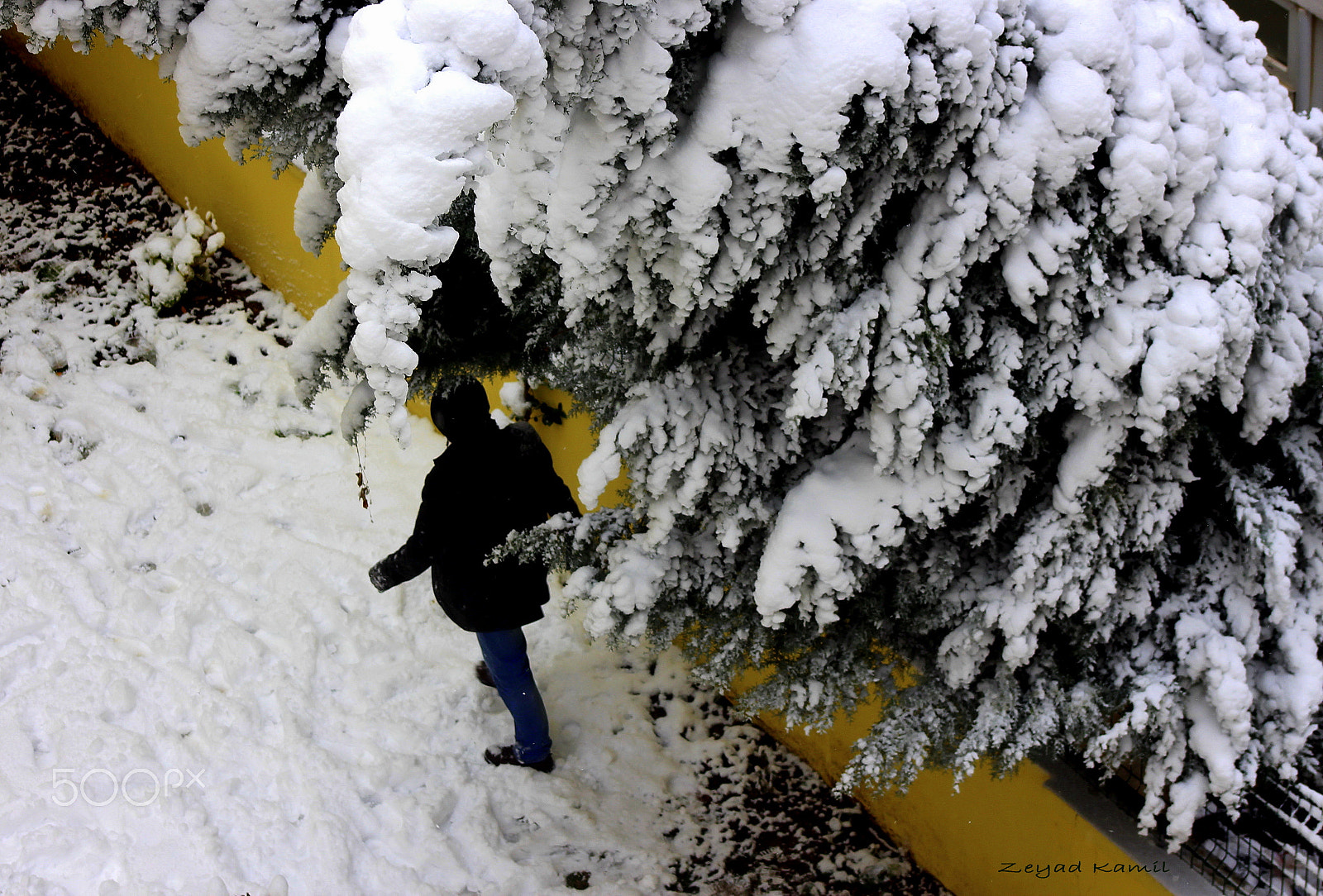 Canon EOS 650D (EOS Rebel T4i / EOS Kiss X6i) sample photo. The light for snow photography