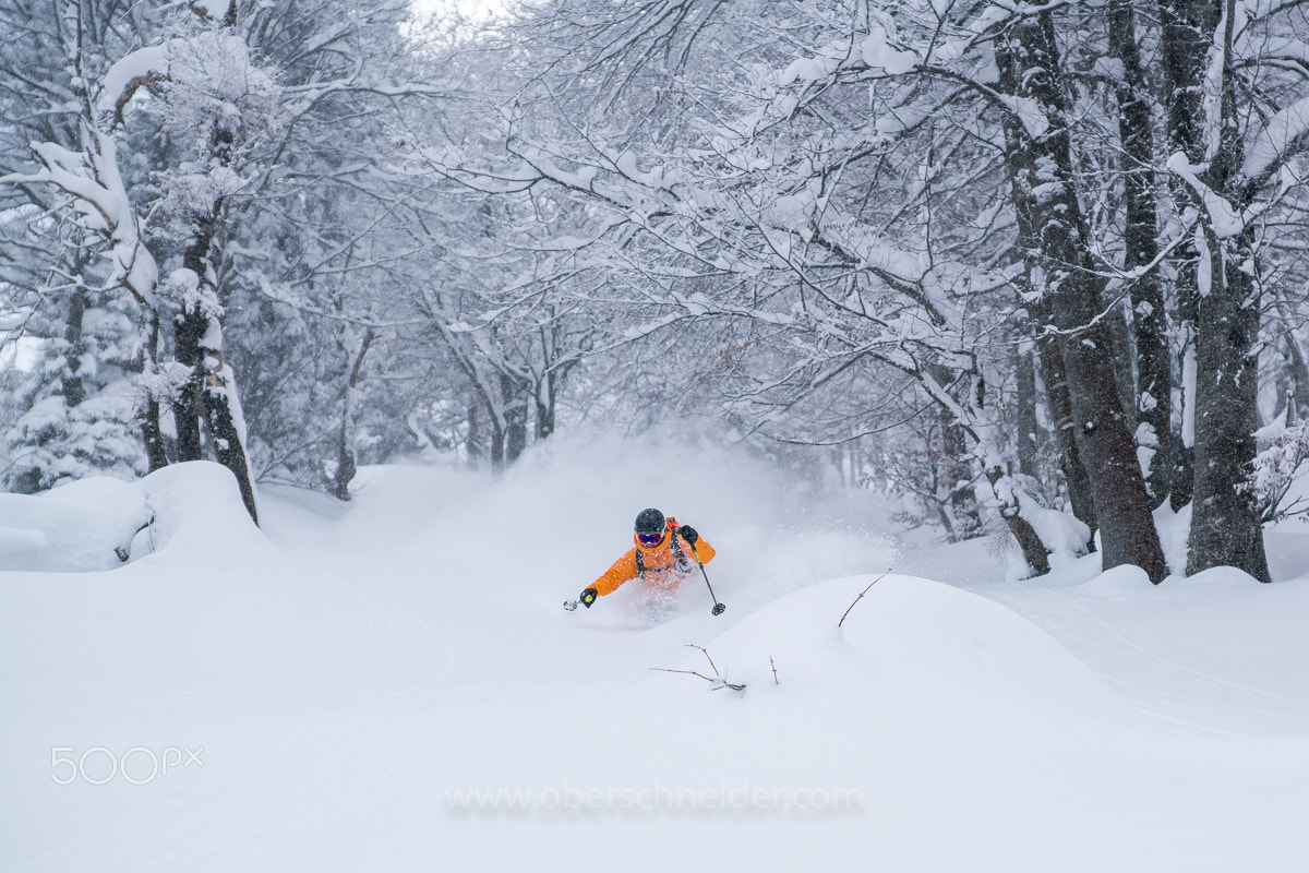 Sony a99 II sample photo. Deep powder skiing in austria #3 photography