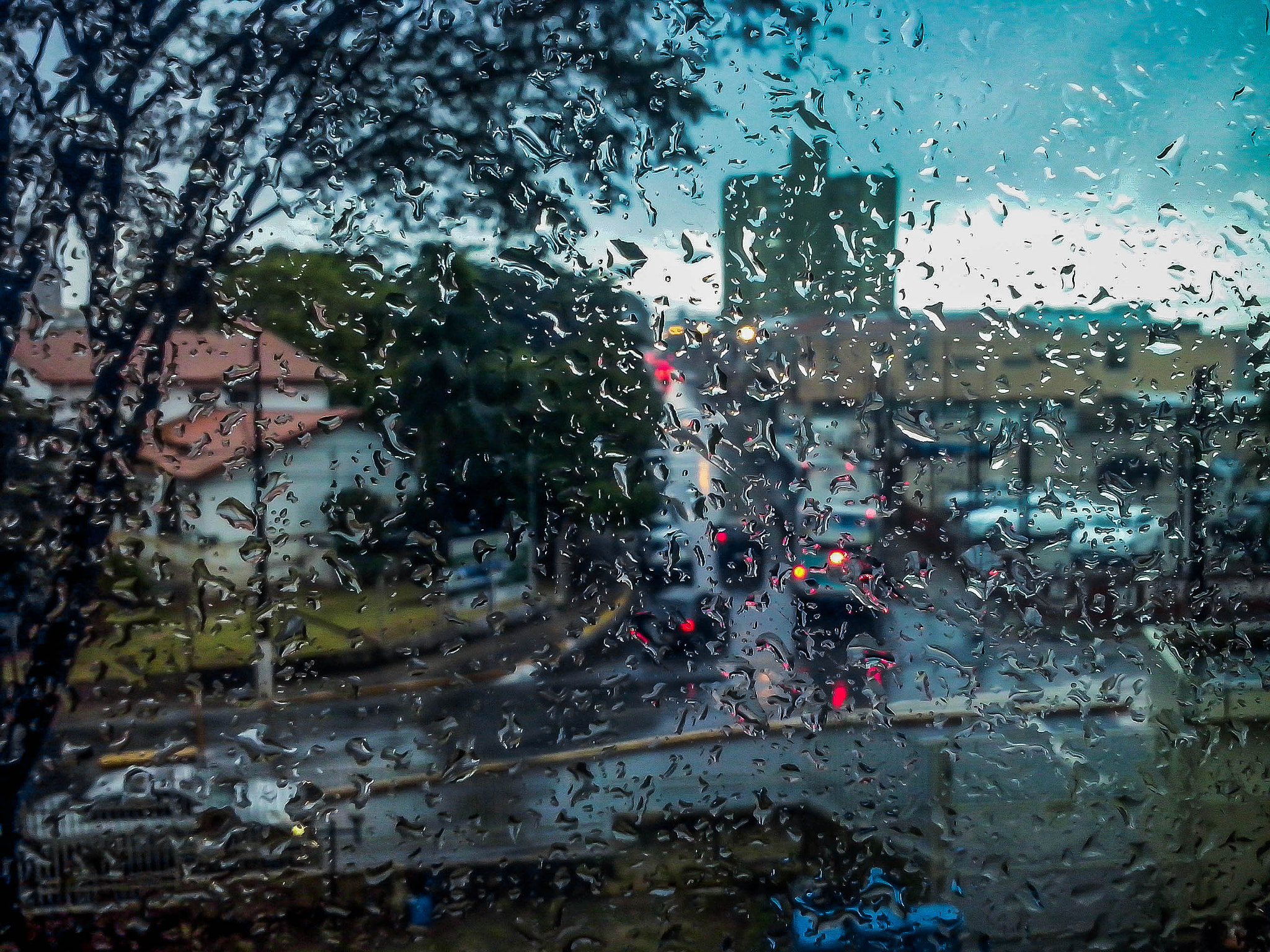 LG OPTIMUS L5 II sample photo. Wet window photography