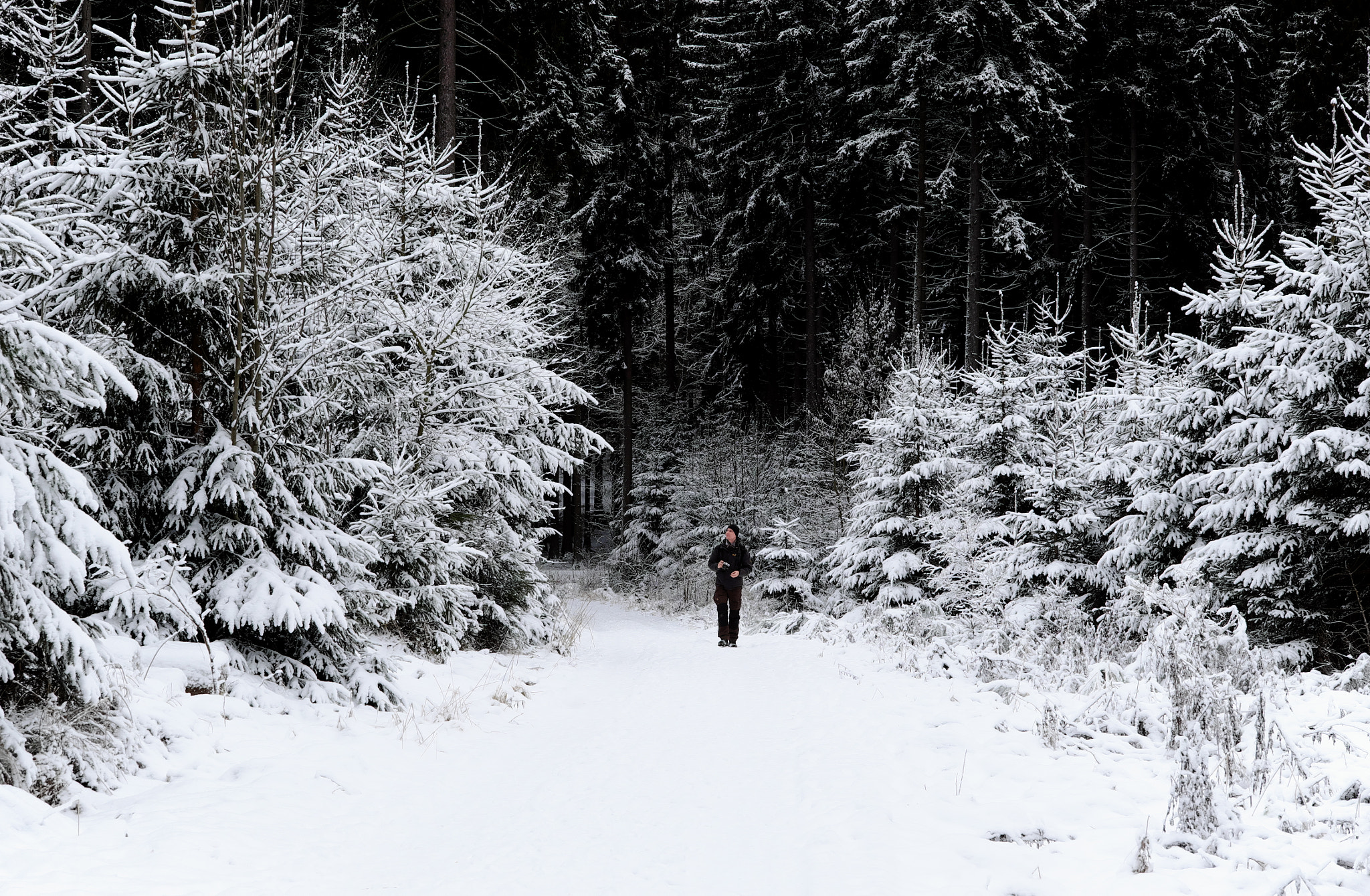 Fujifilm X-T10 + Fujifilm XF 50-140mm F2.8 R LM OIS WR sample photo. Snowy discovery photography