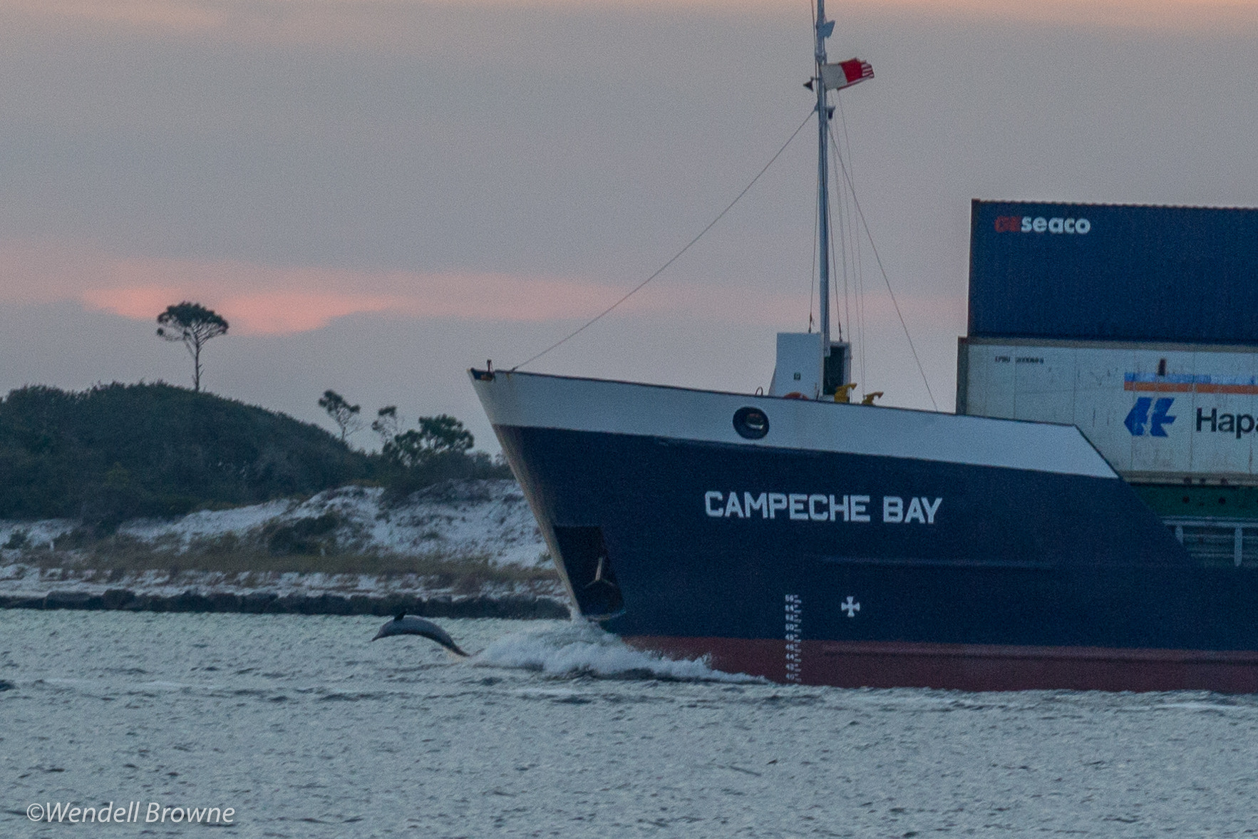 Canon EF 75-300mm f/4-5.6 USM sample photo. A dolphin escort photography