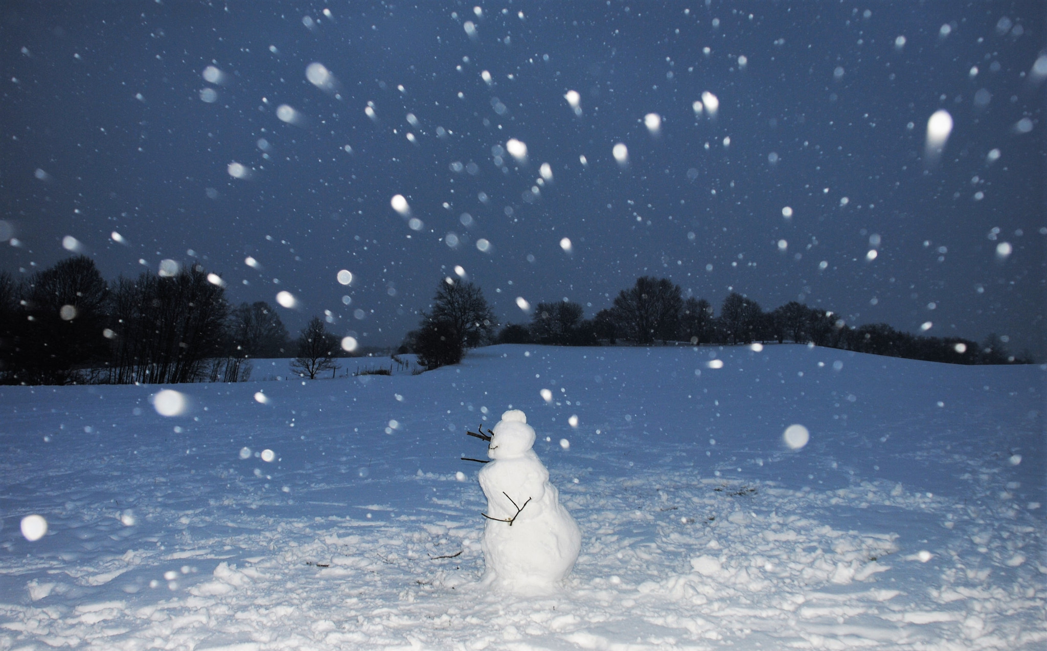 Nikon D3000 sample photo. Einsamer schneemann photography
