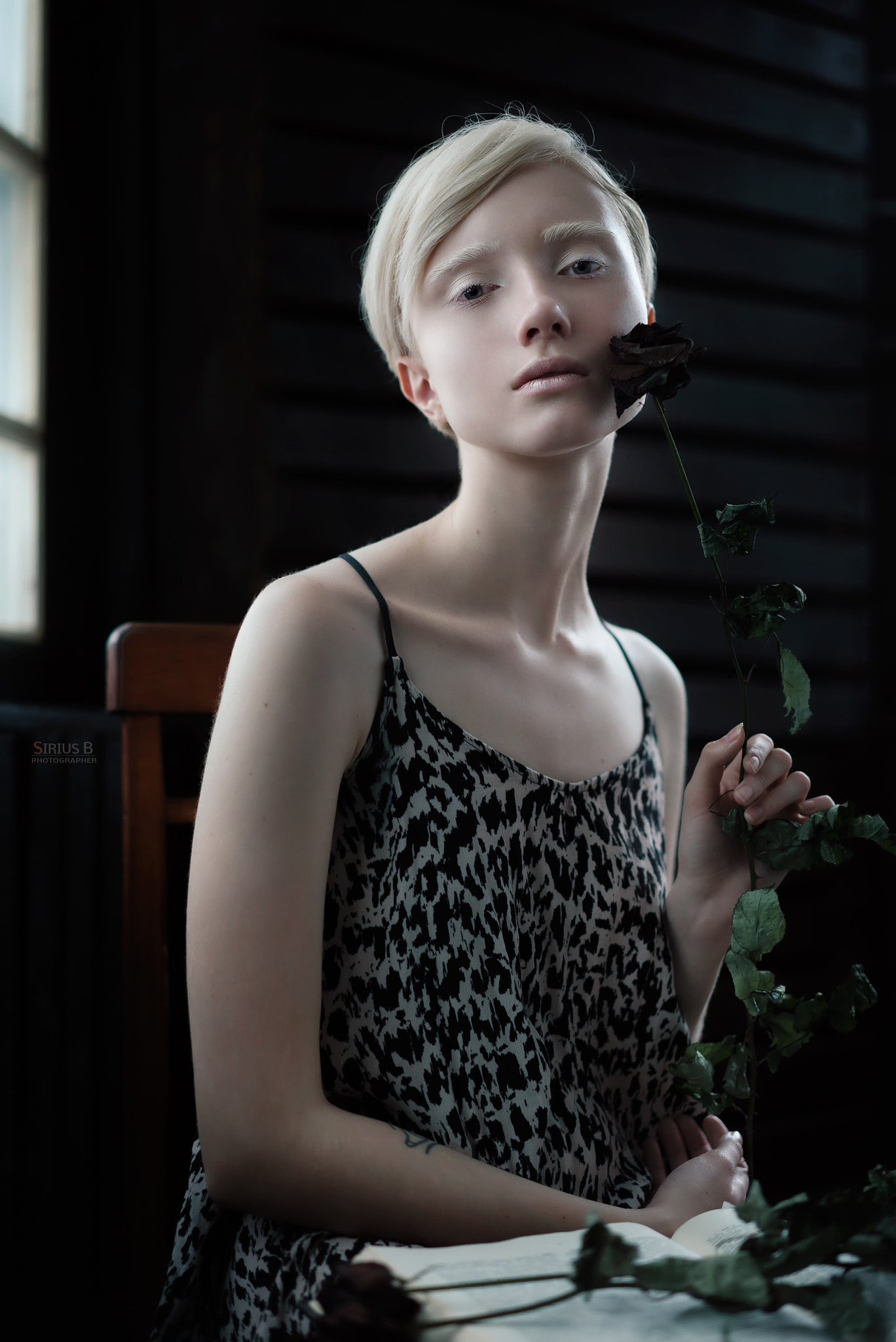 Sony a7S + Sony Sonnar T* FE 55mm F1.8 ZA sample photo. Liza photography