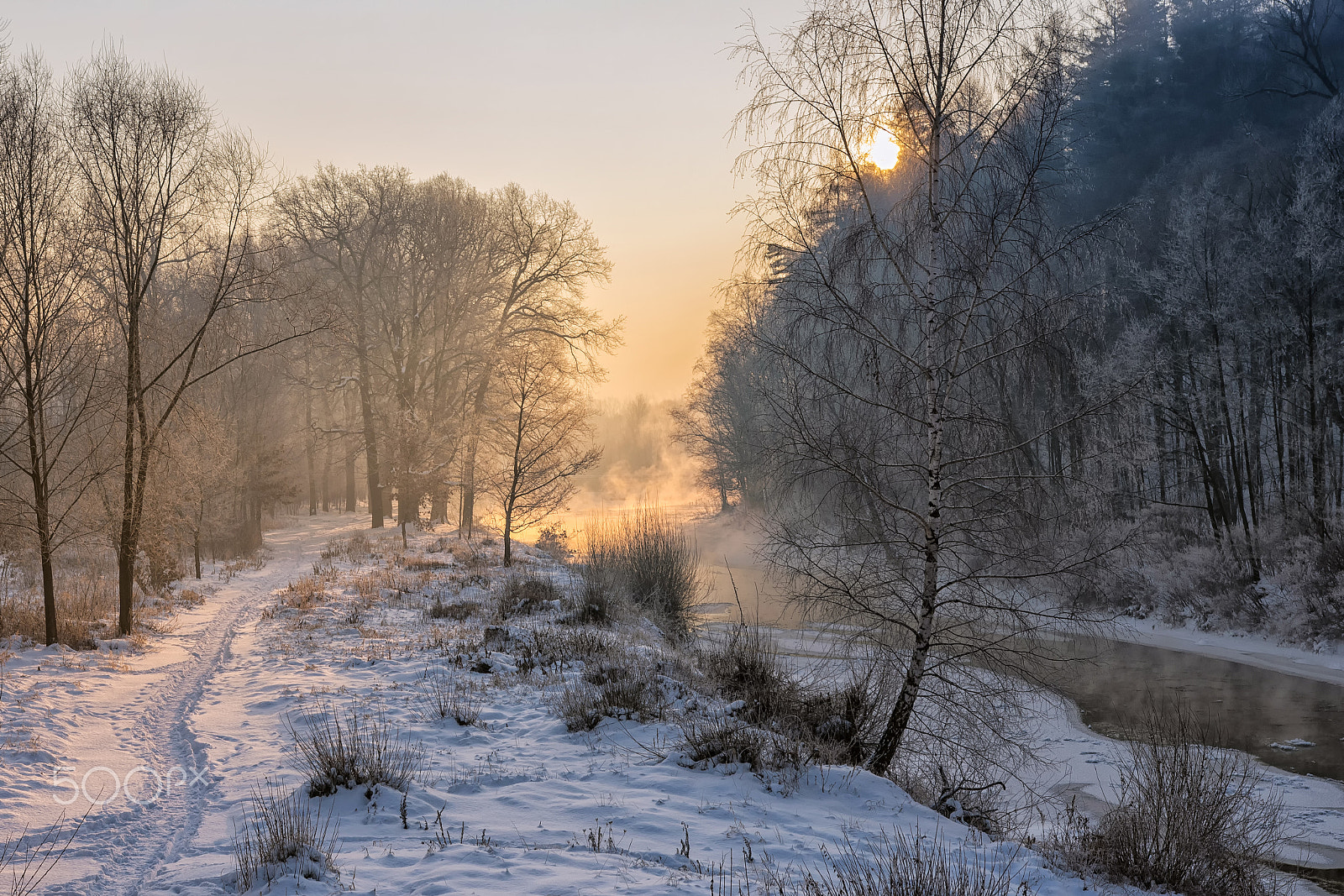 Nikon D5300 + Sigma 18-35mm F1.8 DC HSM Art sample photo. Frost photography