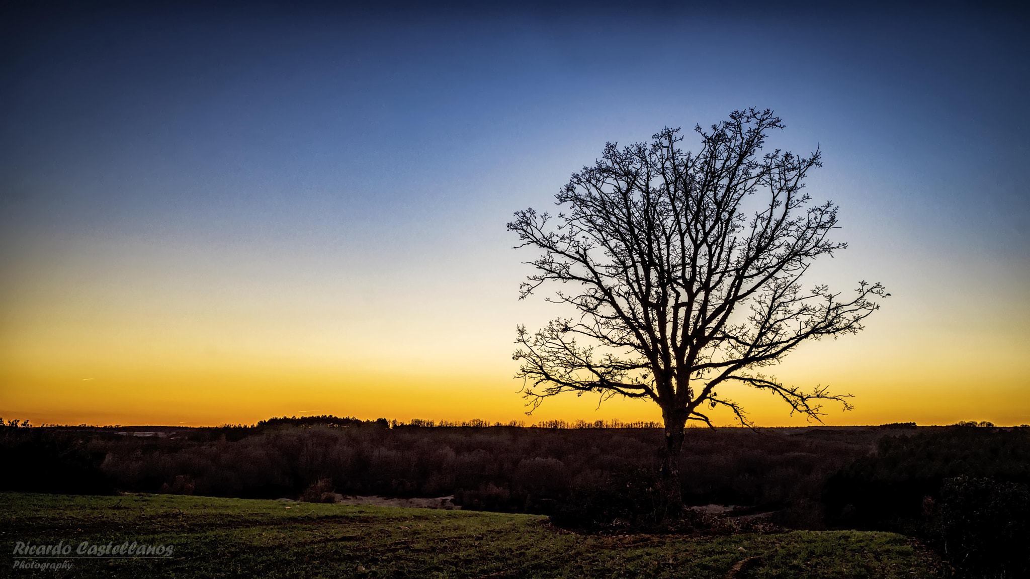 Sony SLT-A58 sample photo. Bello atardecer photography