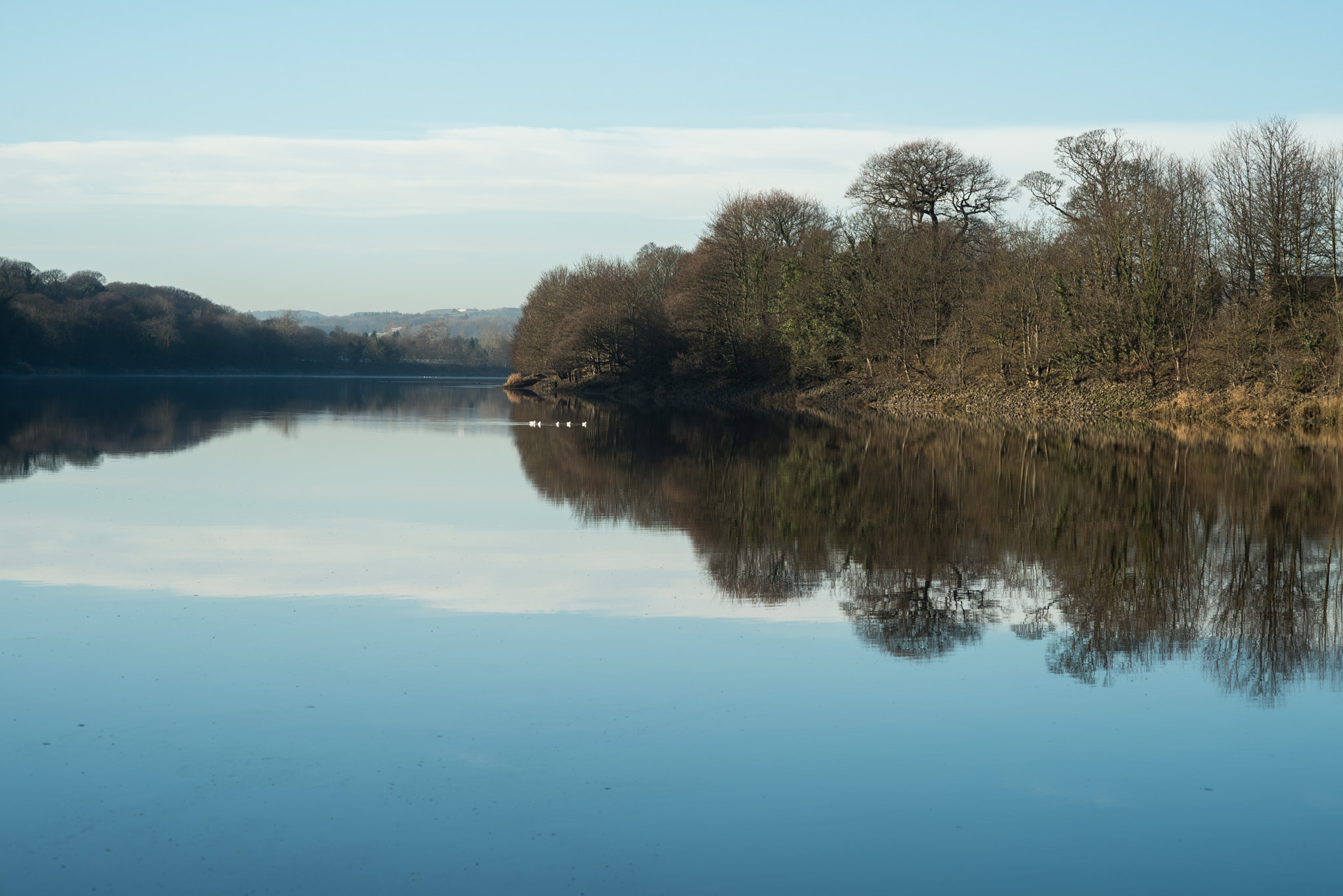 Nikon D750 + Sigma 85mm F1.4 EX DG HSM sample photo. River tyne photography