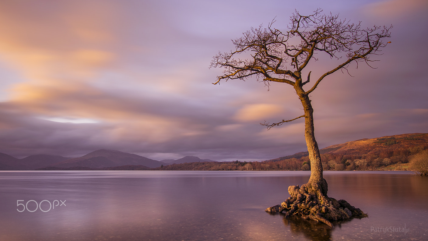 Nikon D3300 + Sigma 10-20mm F3.5 EX DC HSM sample photo. Balmaha, scotland photography