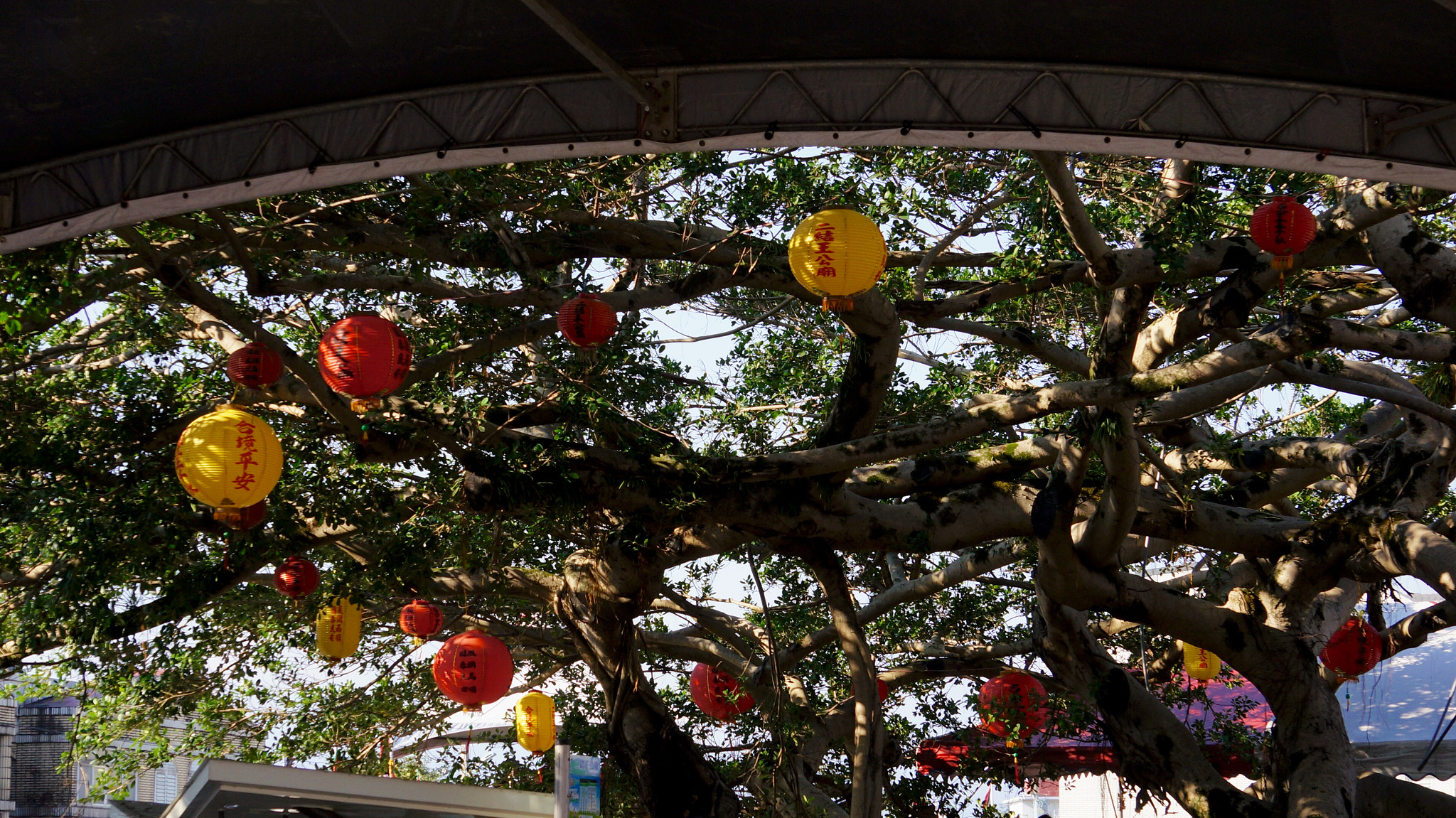 Sony E 55-210mm F4.5-6.3 OSS sample photo. Lamps on big tree photography