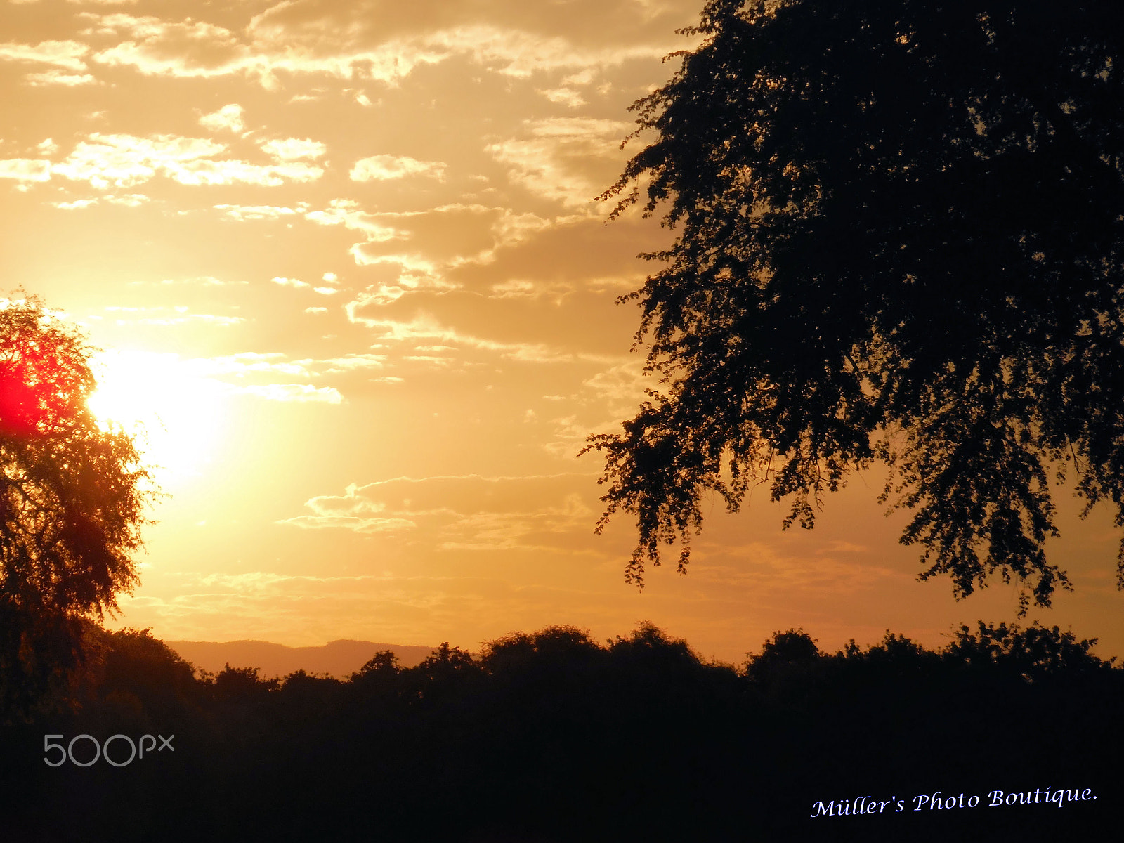 Fujifilm FinePix XP70 XP71 XP75 sample photo. Landscape lovers - mana pools. (zimbabwe). photography