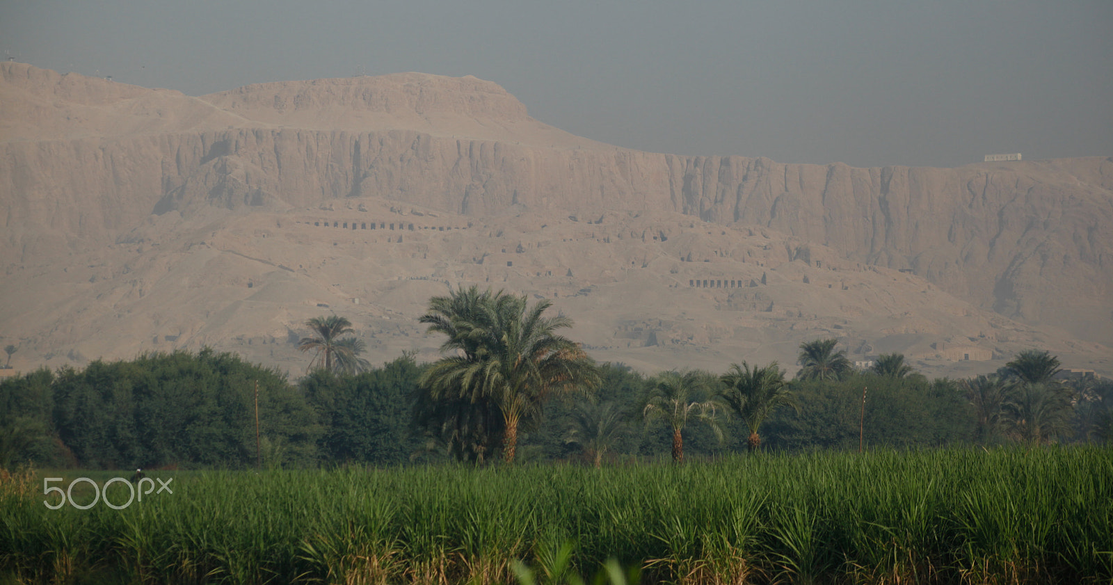 Canon EF 75-300mm f/4-5.6 USM sample photo. Egypt_019 photography
