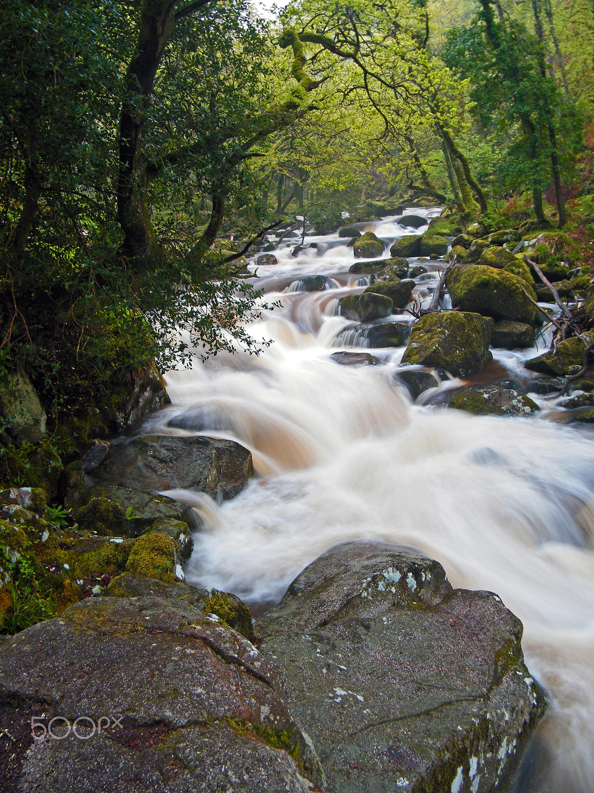 Fujifilm FinePix S2000HD sample photo. River plym photography