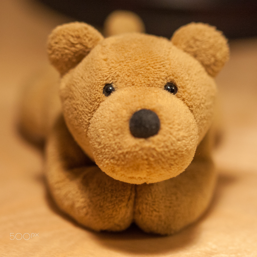 Canon EF 100mm F2.8 Macro USM sample photo. My first nici photography