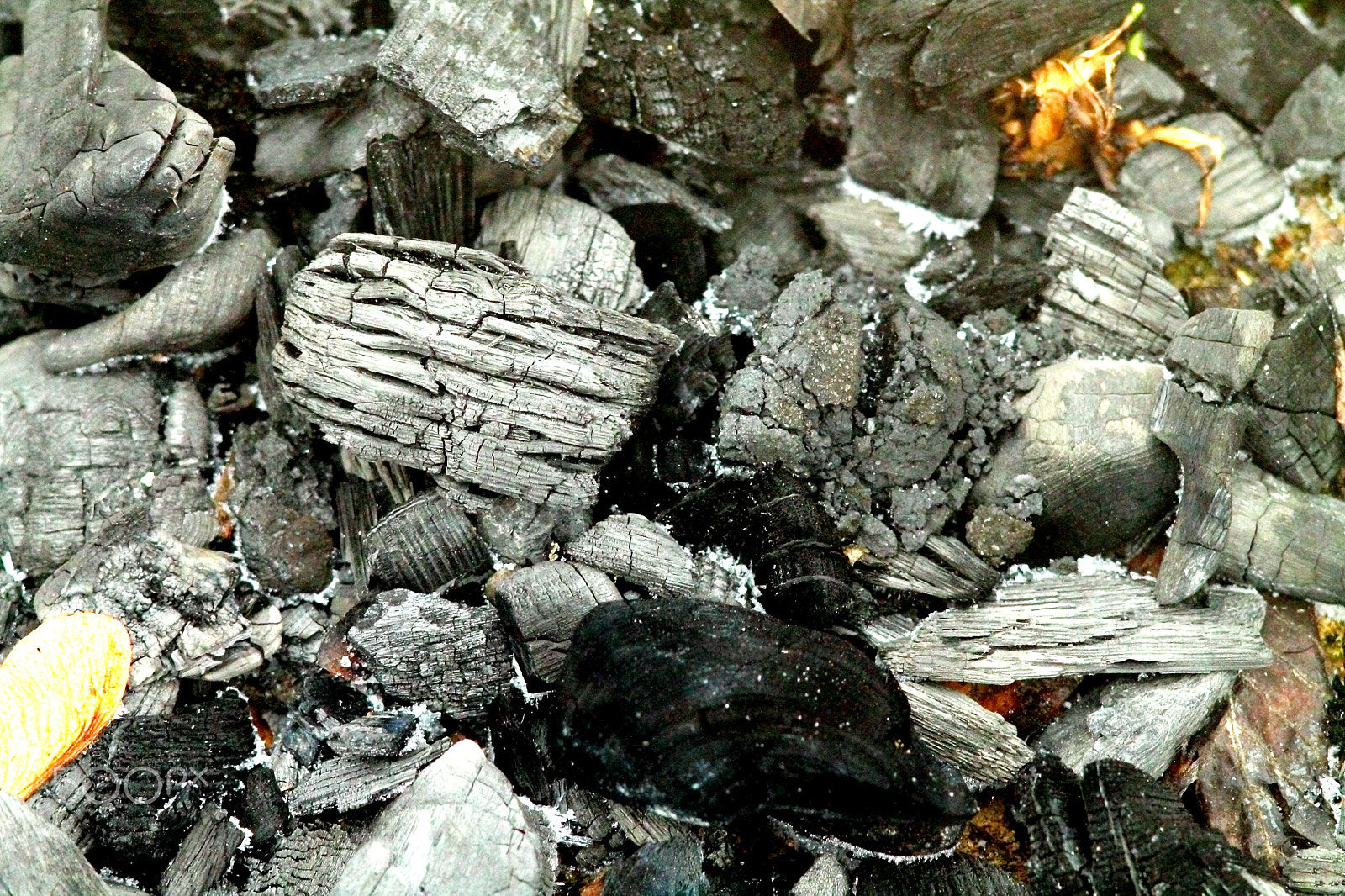 Canon EF 35-80mm f/4-5.6 sample photo. Extinct coals after bonfire. photography