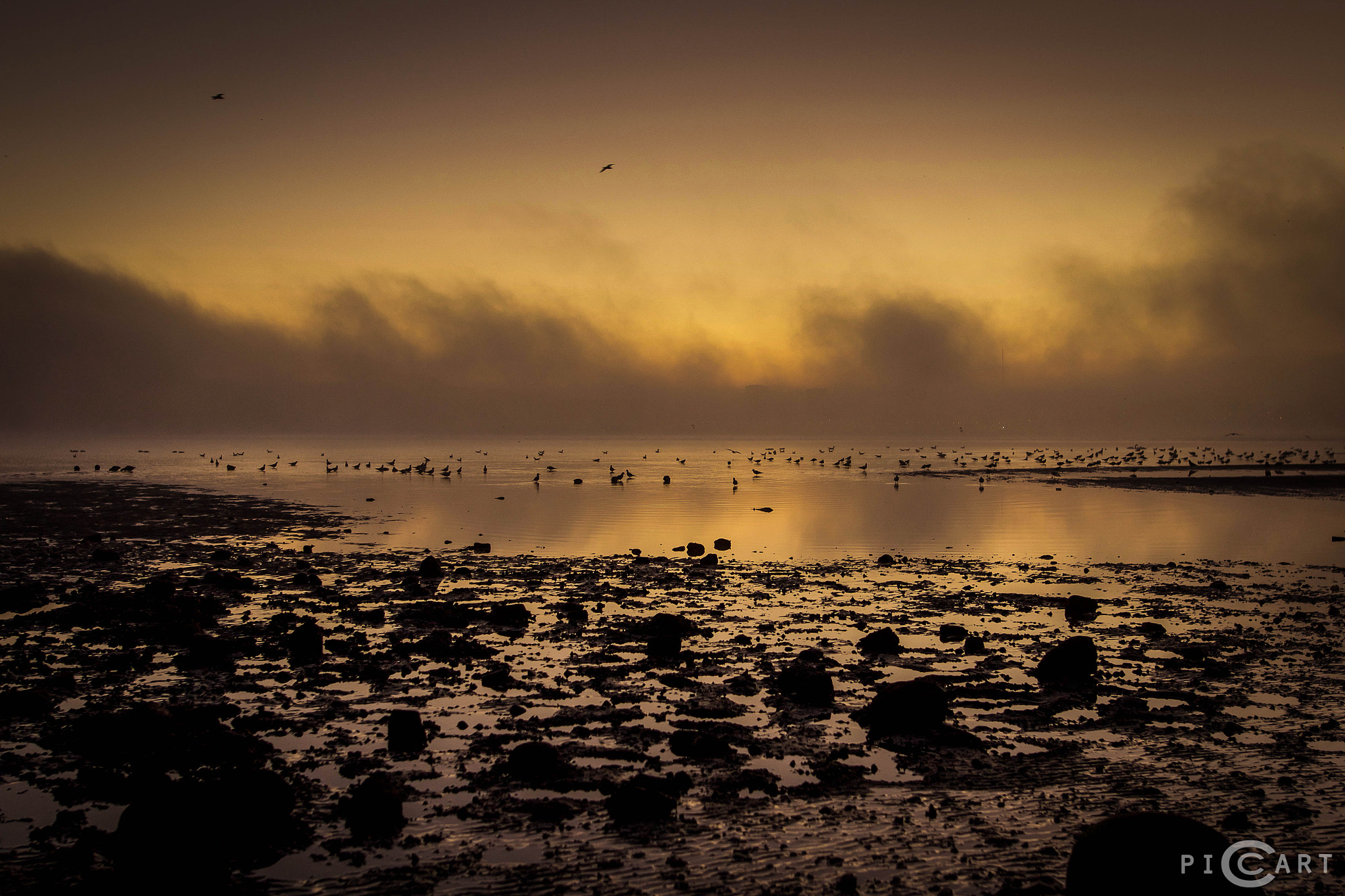 Sigma 24mm F1.4 DG HSM Art sample photo. Beach flensburg photography